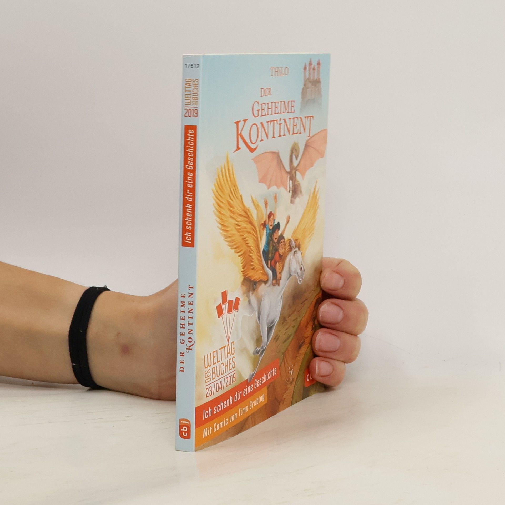 Thilo Petry-Lassak Ich schenk dir eine Geschichte. Der geheime Kontinent