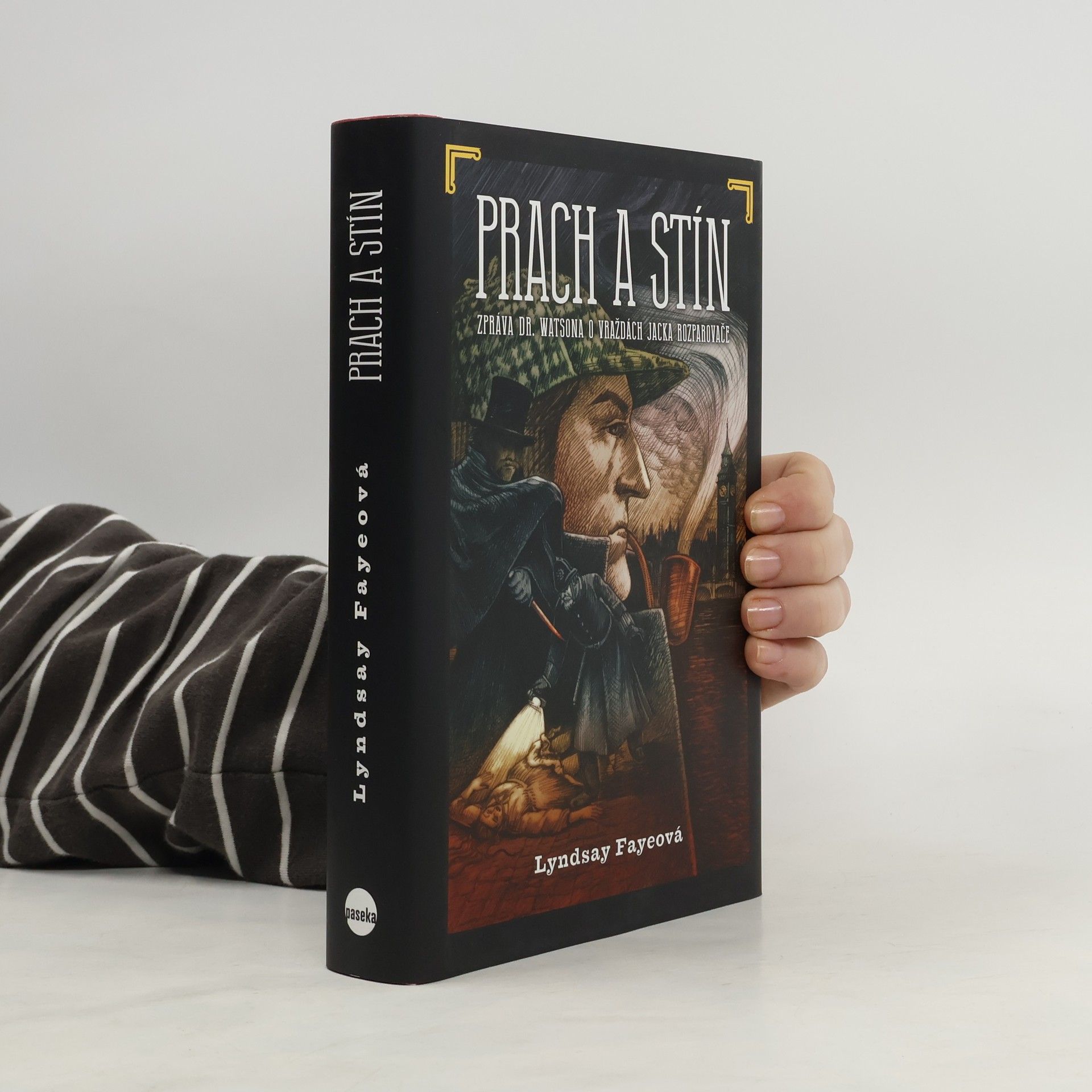 Lyndsay Faye Prach a stín