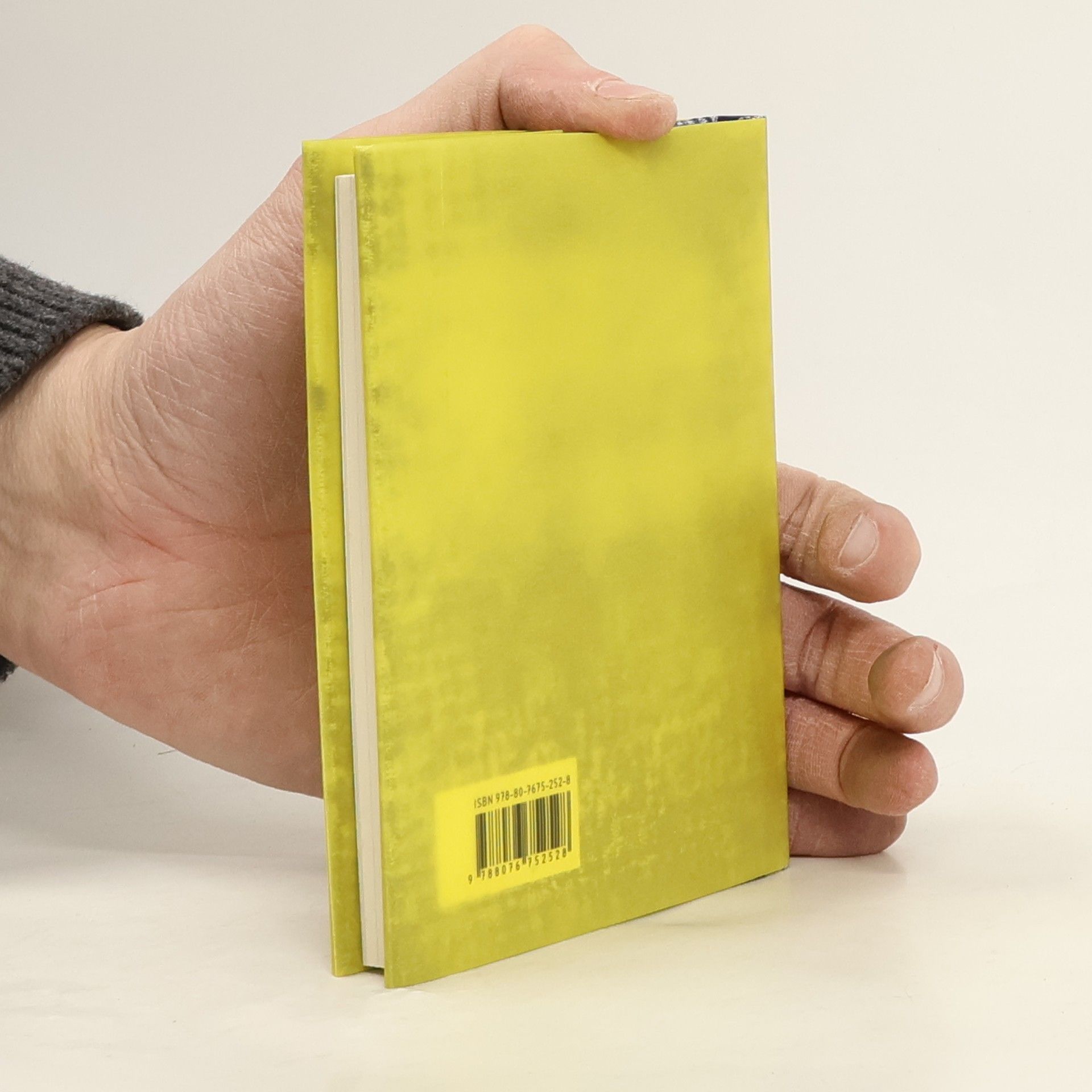 Collectif d'auteurs Tao te ťing. O tajemství hlubším než hlubina sama