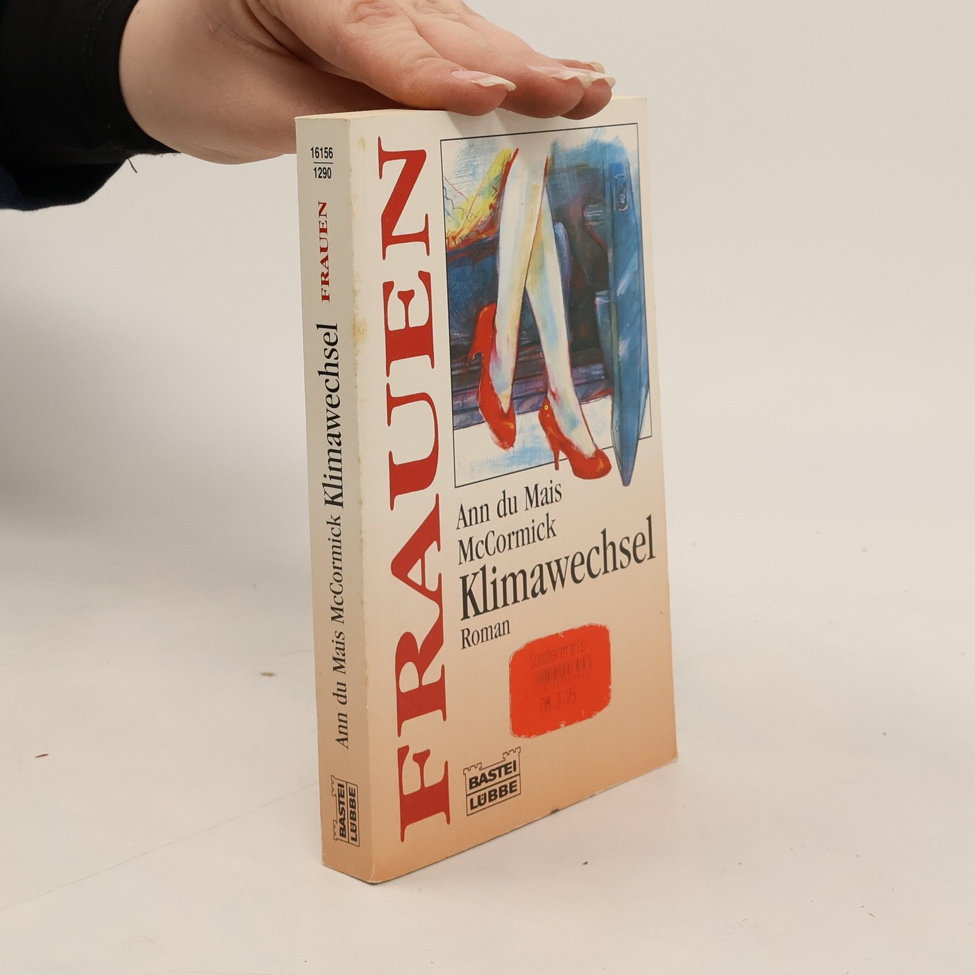 Ann Dumais Mccormick Frauen: Klimawechsel. Roman