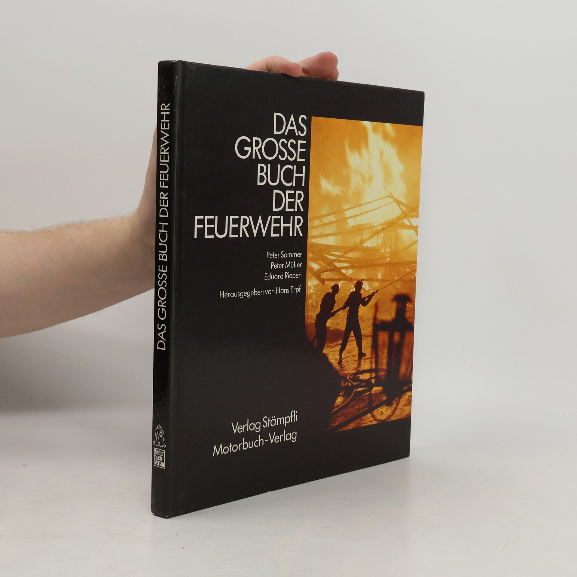 Die Geldstrafe im Schweizer Strafrecht