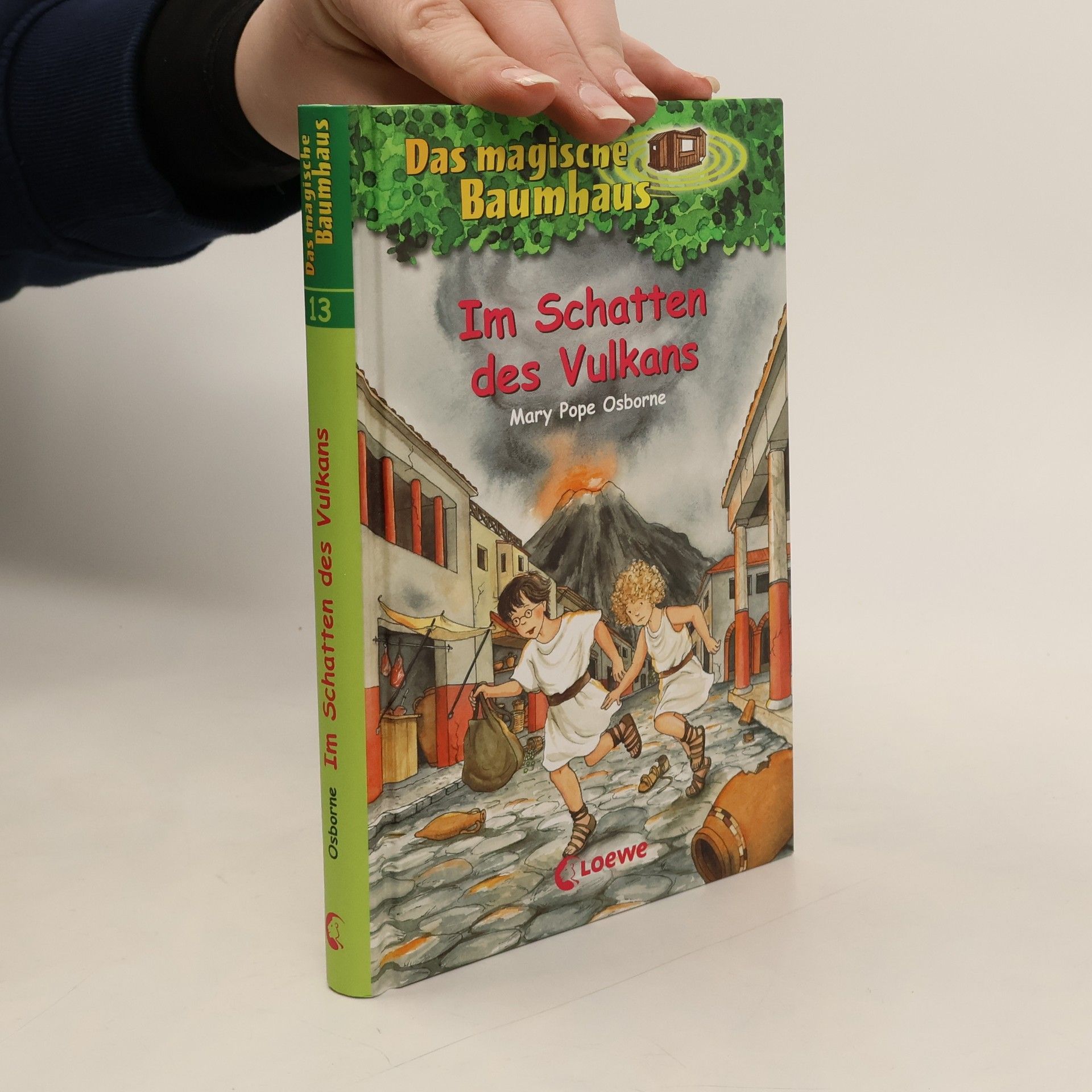 Sabine Rahn Im Schatten des Vulkans