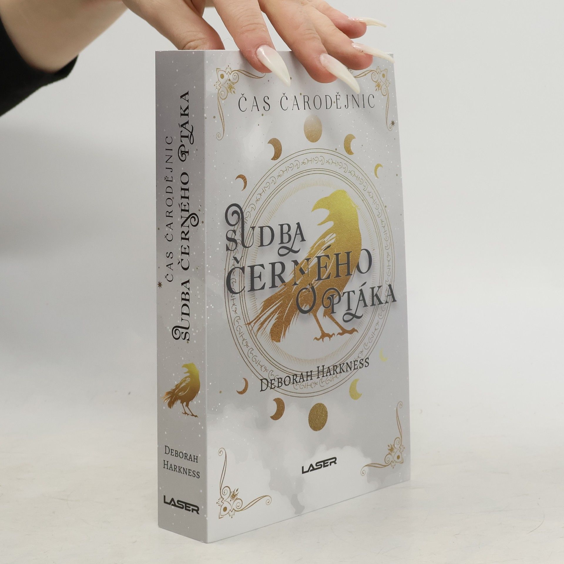 Sudba černého ptáka