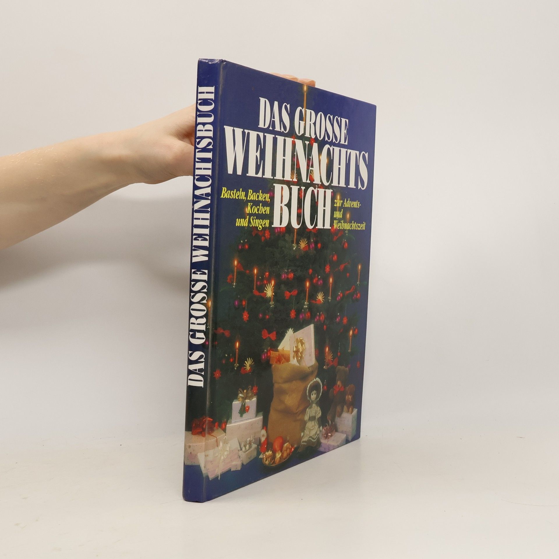 Autorenkollektiv Das Grosse Weihnachtsbuch