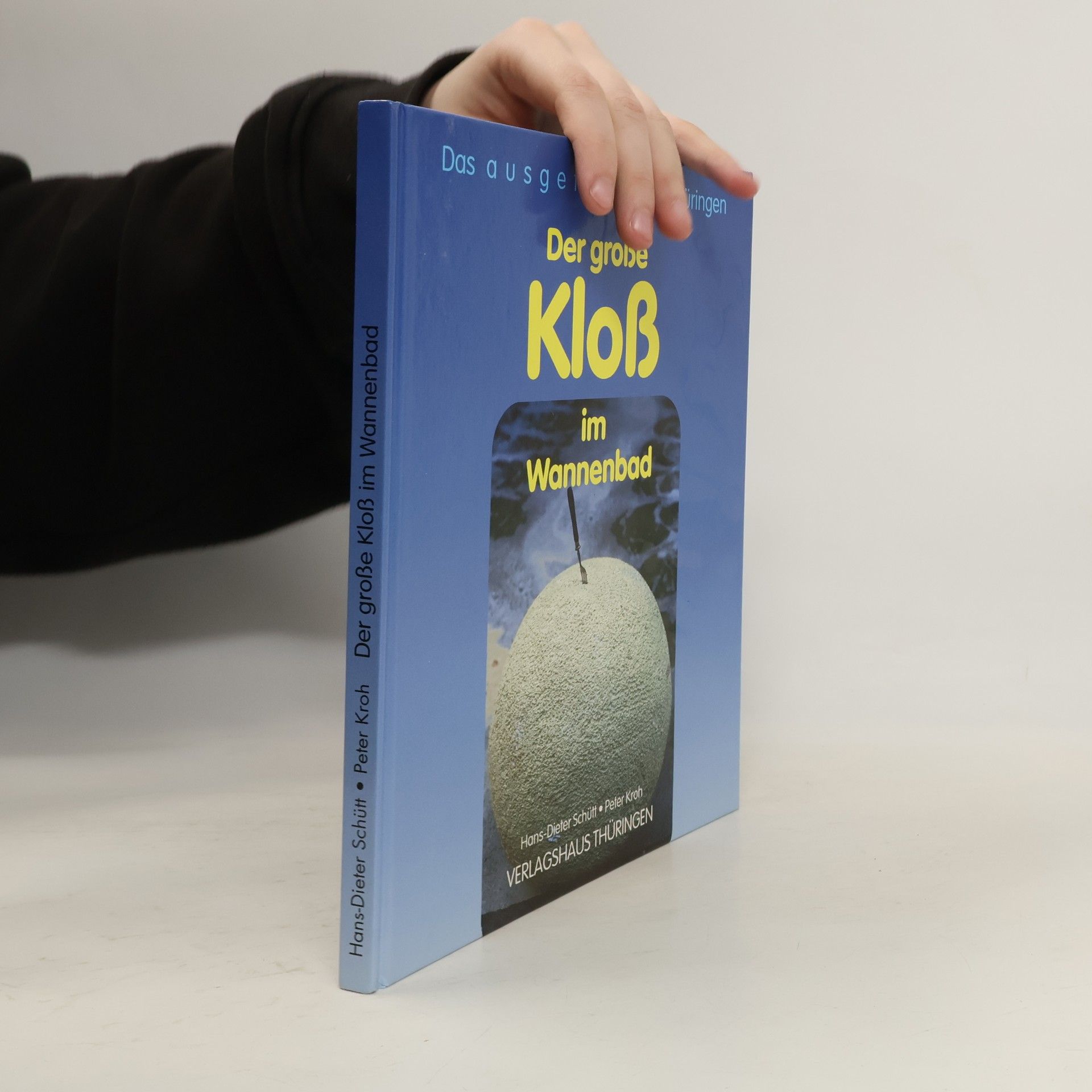 Hans-Dieter Schütt Der grosse Kloss im Wannenbad