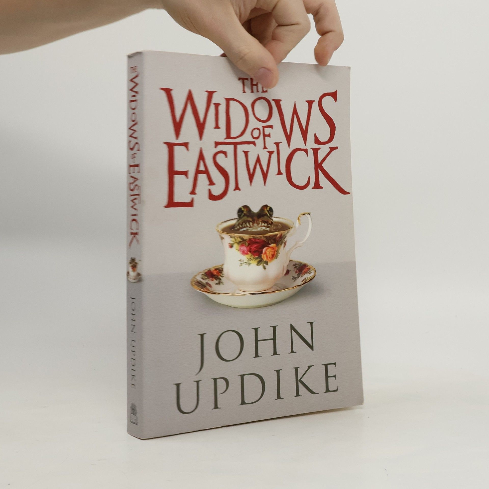John Updike The Widows of Eastwick