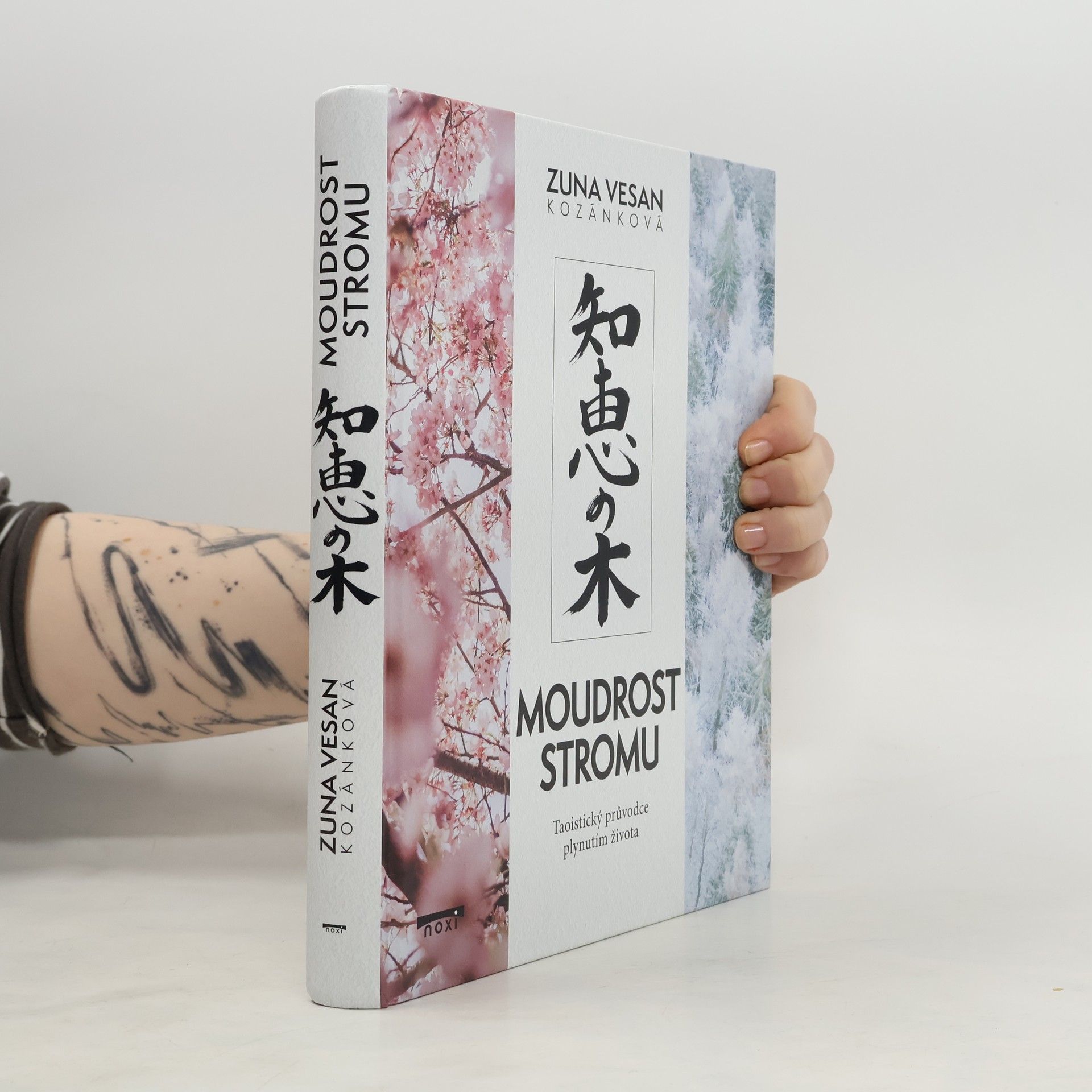 Moudrost stromu - Taoistický průvodce plynutím života