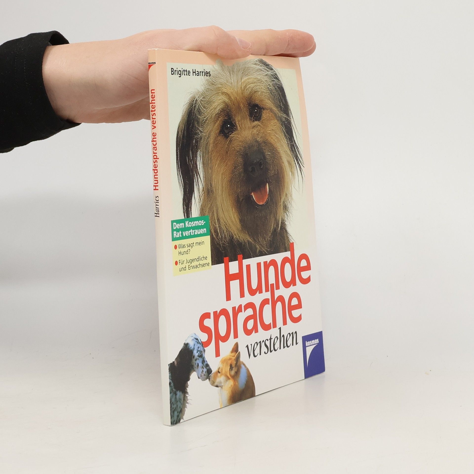 Hundesprache verstehen