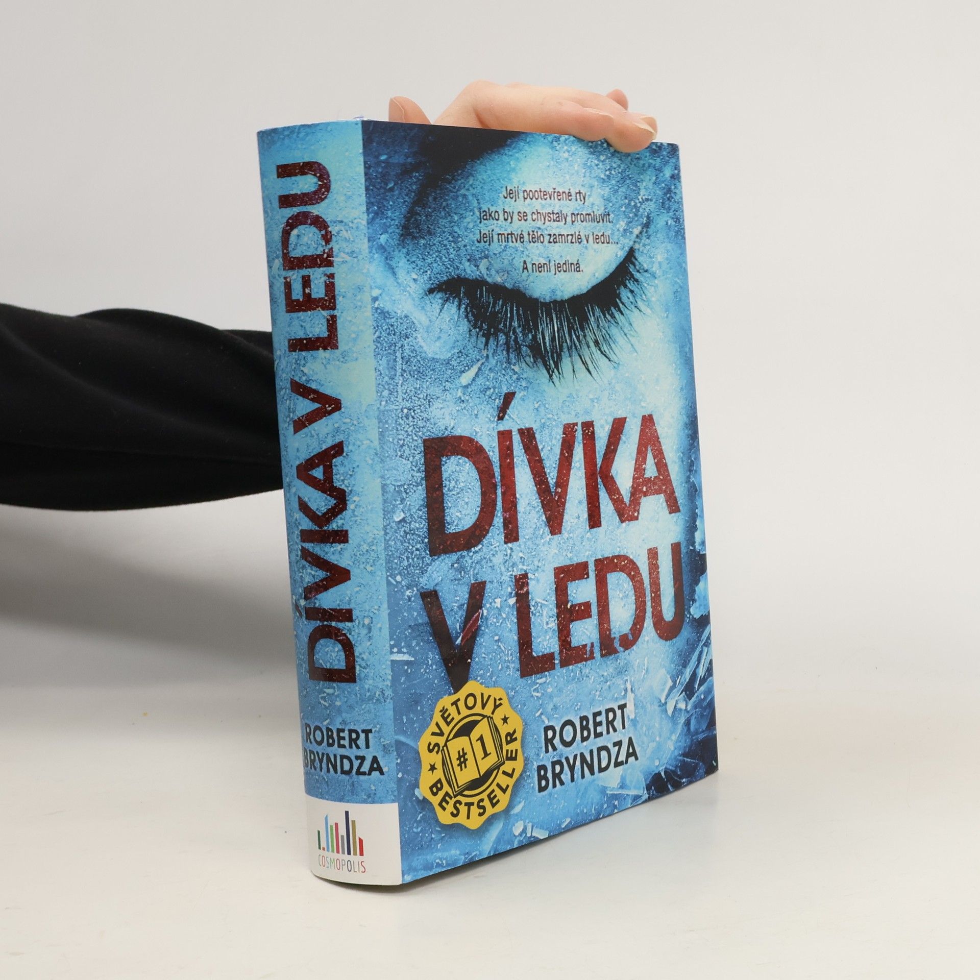 Robert Bryndza Dívka v ledu