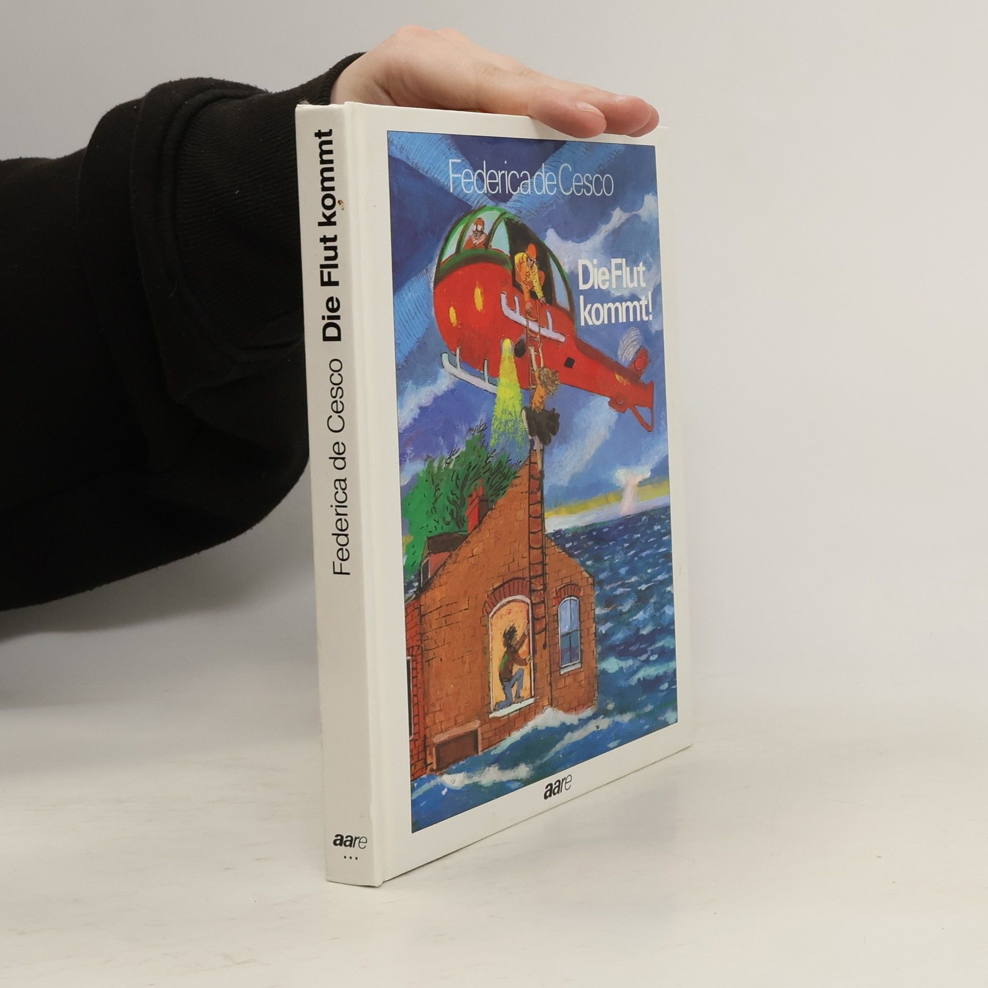 Federica de Cesco Die Flut kommt