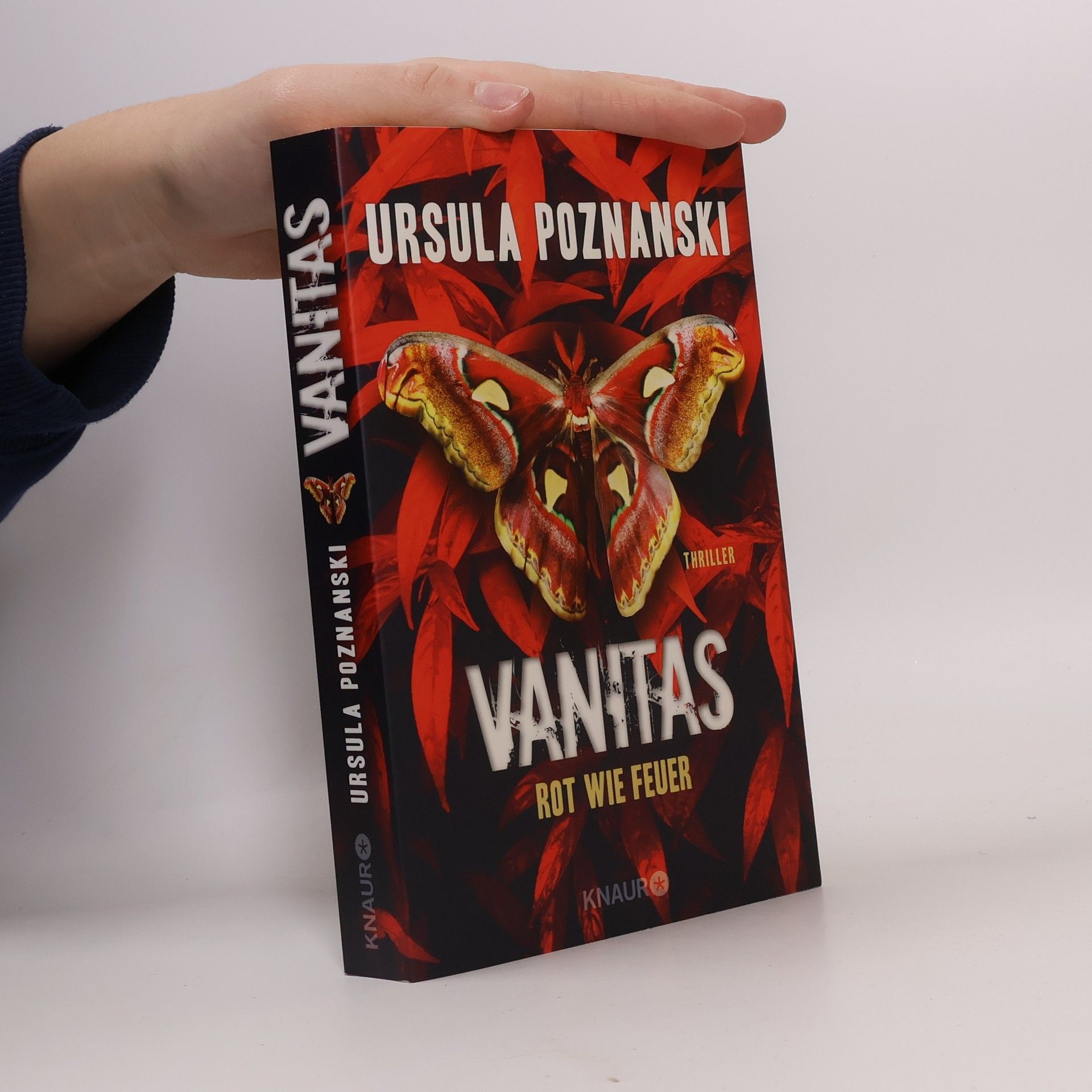 Ursula Poznanski Vanitas. Rot wie Feuer