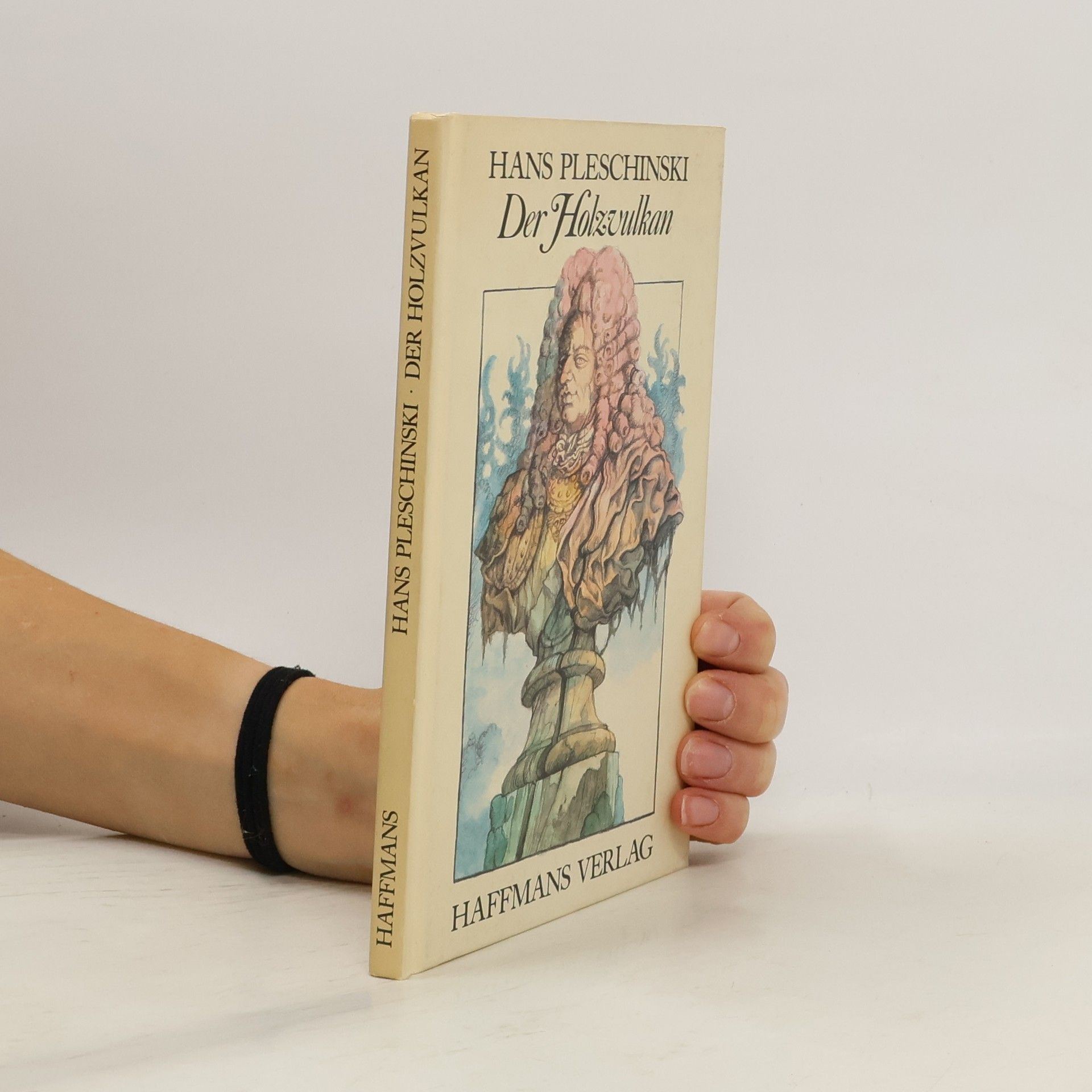 Hans Pleschinski Der Holzvulkan