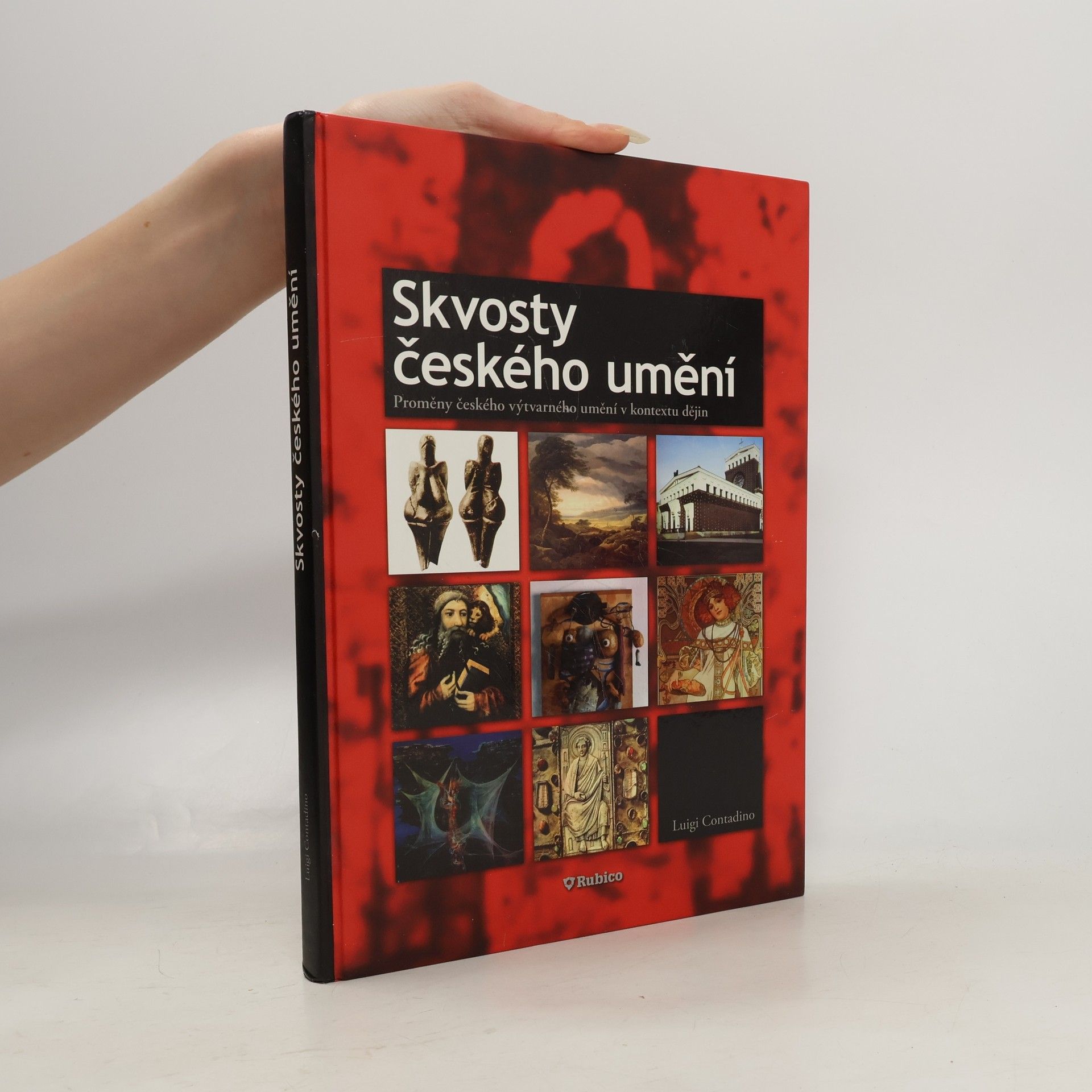 Skvosty českého umění : proměny českého výtvarného umění v kontextu dějin