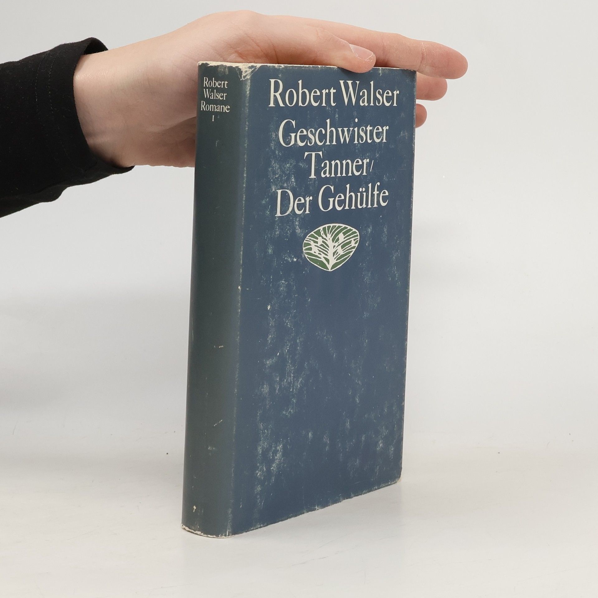 Robert Walser Romane I.