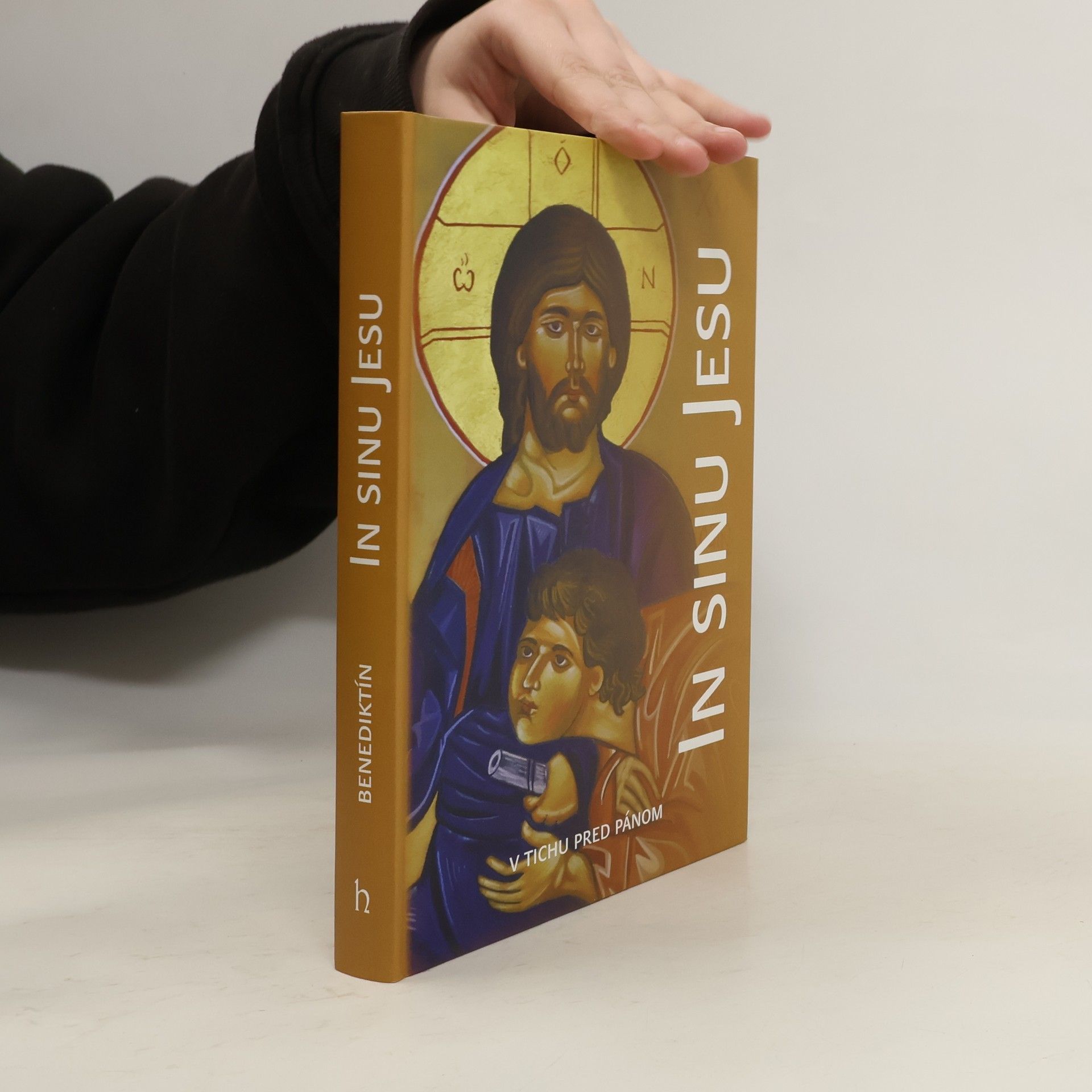 Auteurscollectief In sinu Jesu