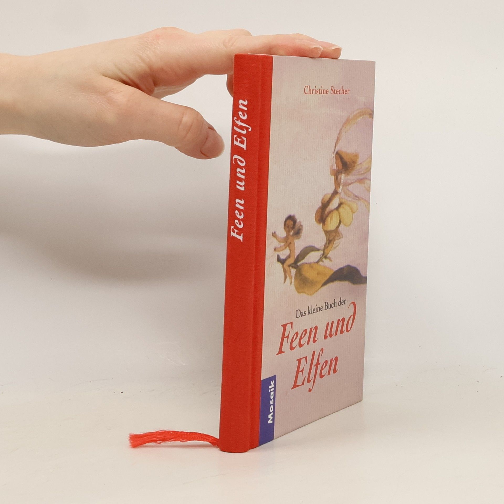 Das kleine Buch der Feen und Elfen