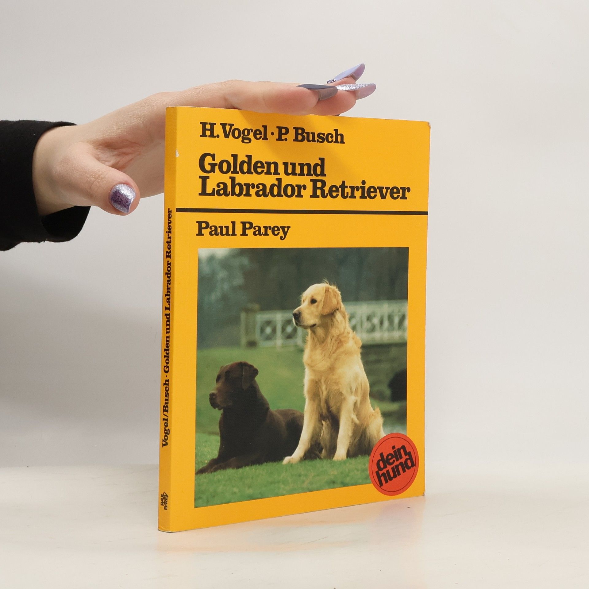 Golden und Labrador Retriever