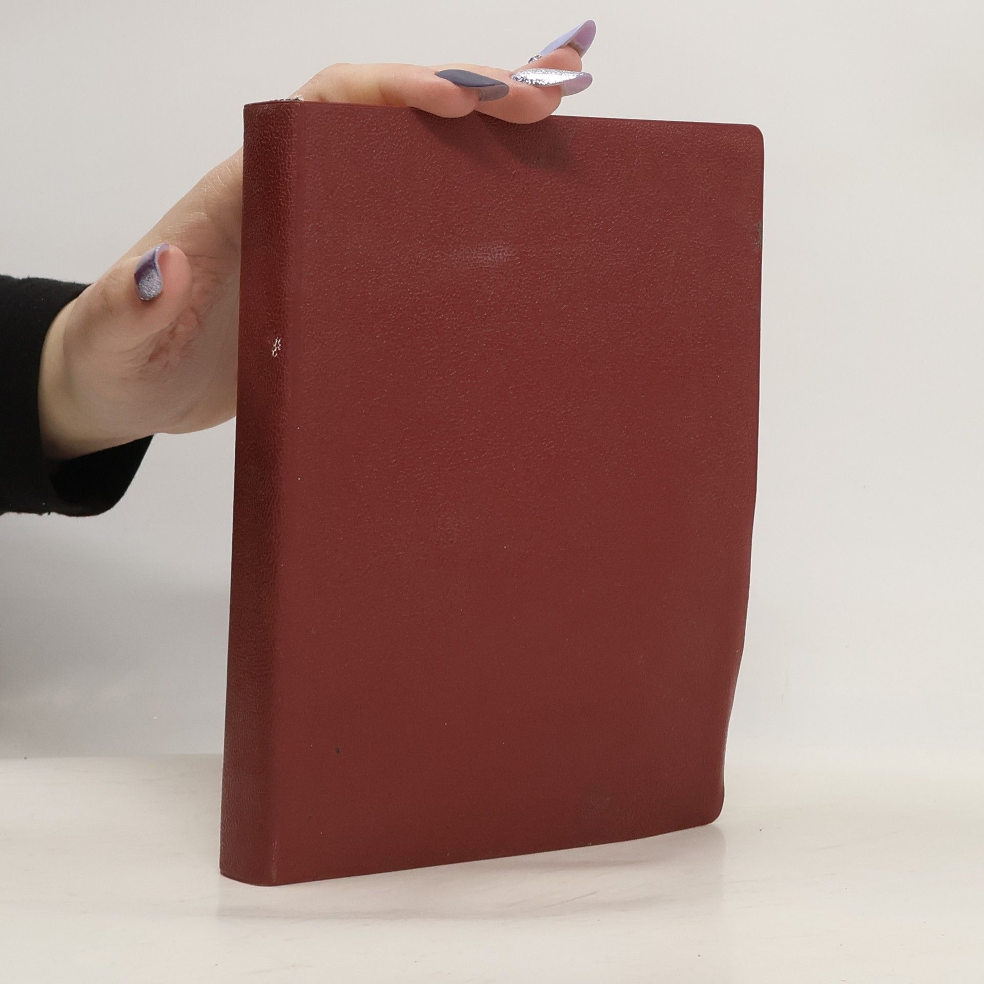 AA.VV. Biblická konkordace