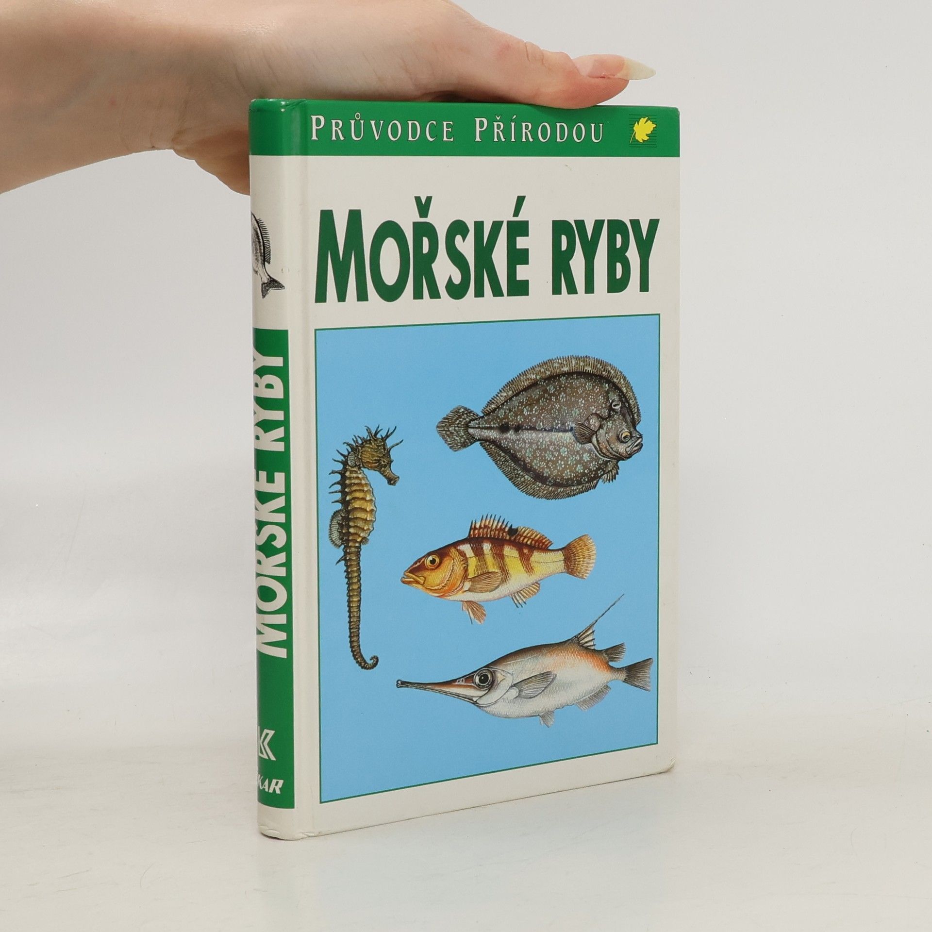 Sauer Frieder Mořské ryby v evropských vodách