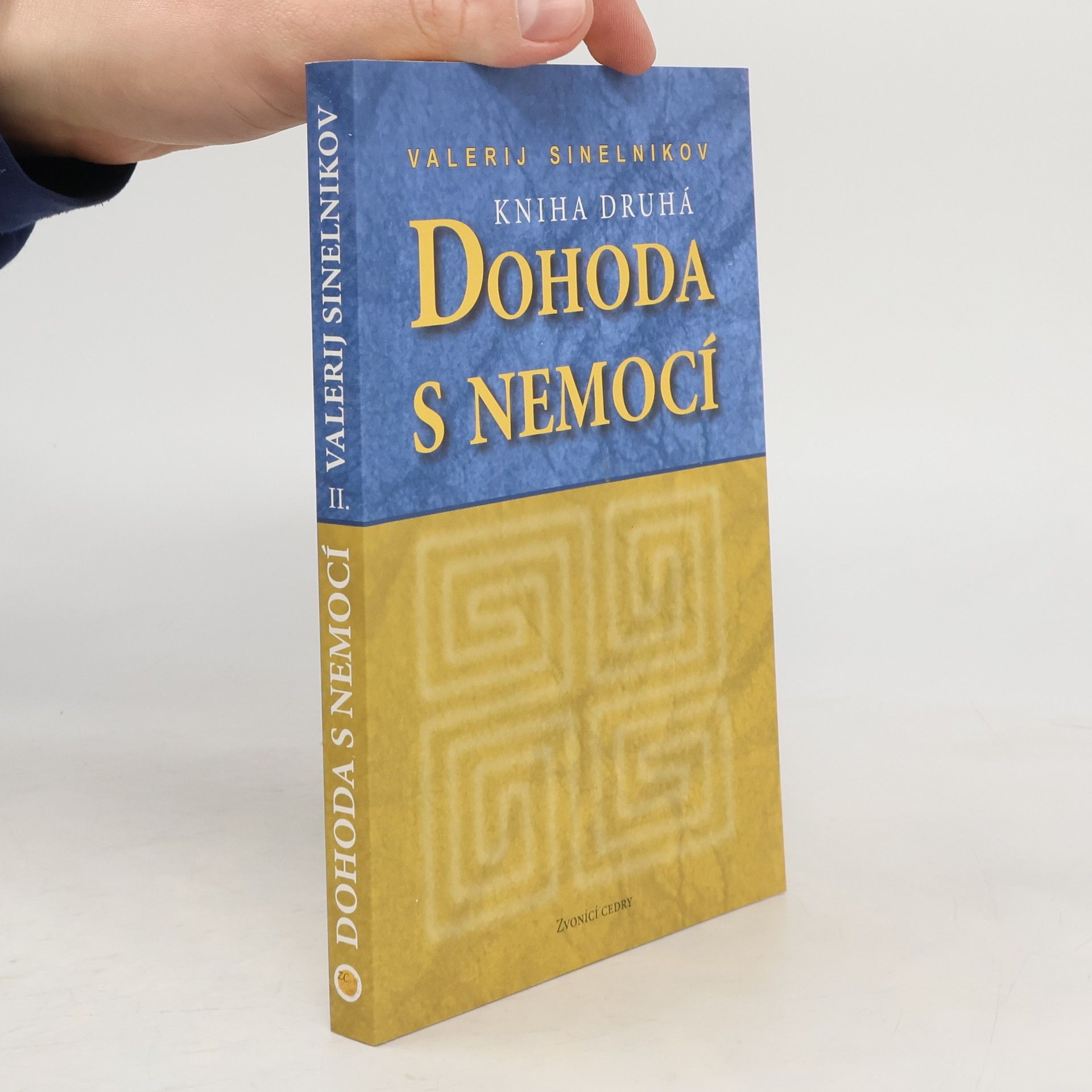 Dohoda s nemocí. Kniha druhá