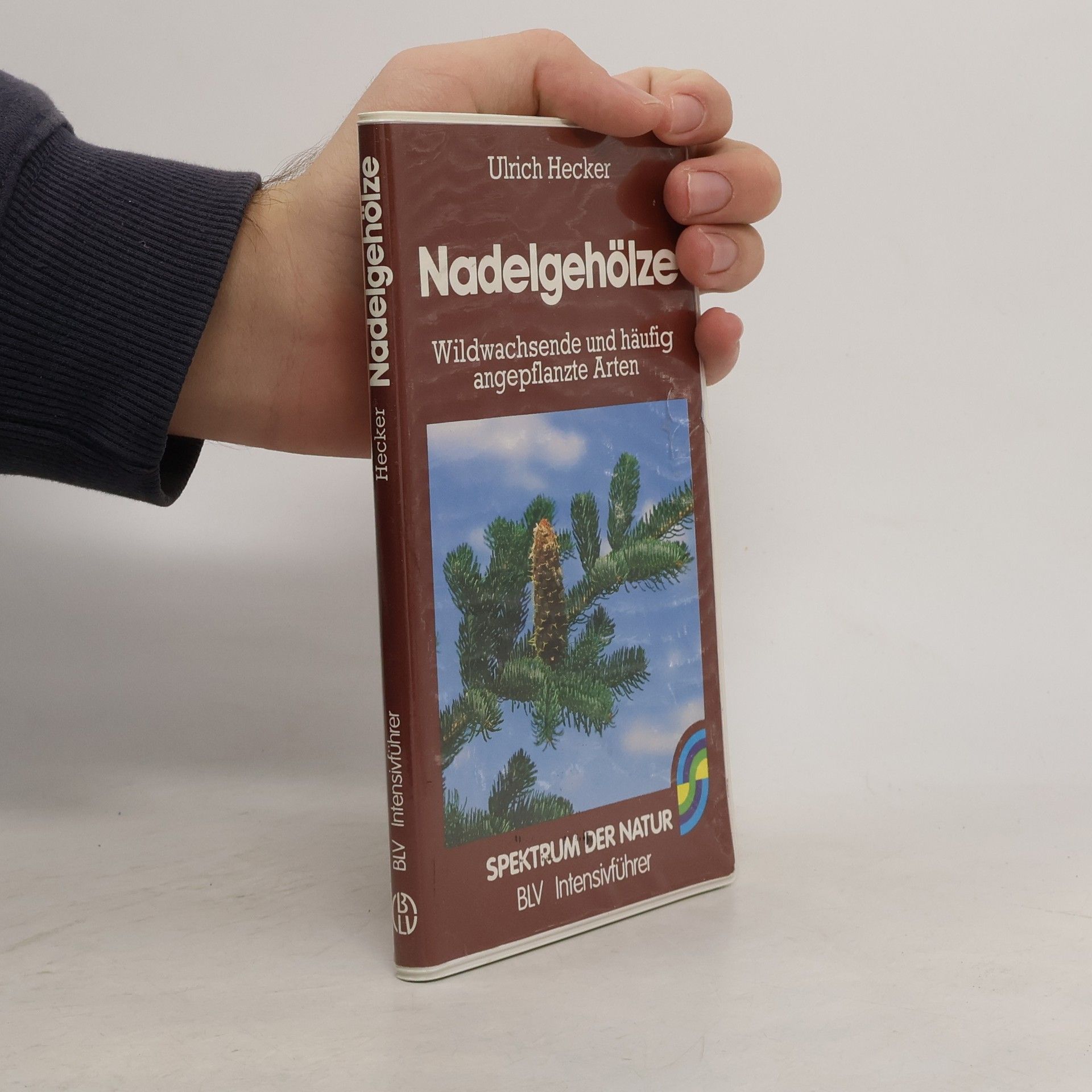 Hans-Ulrich Hecker Nadelgehölze