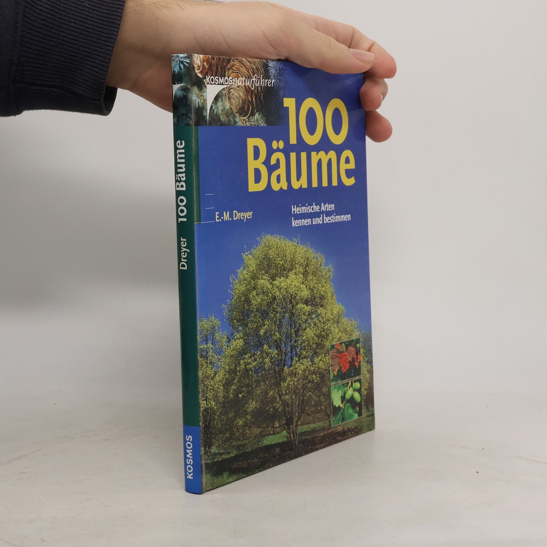 E. M. Dreyer 100 Baume: Heimische Arten kennen und bestimmen