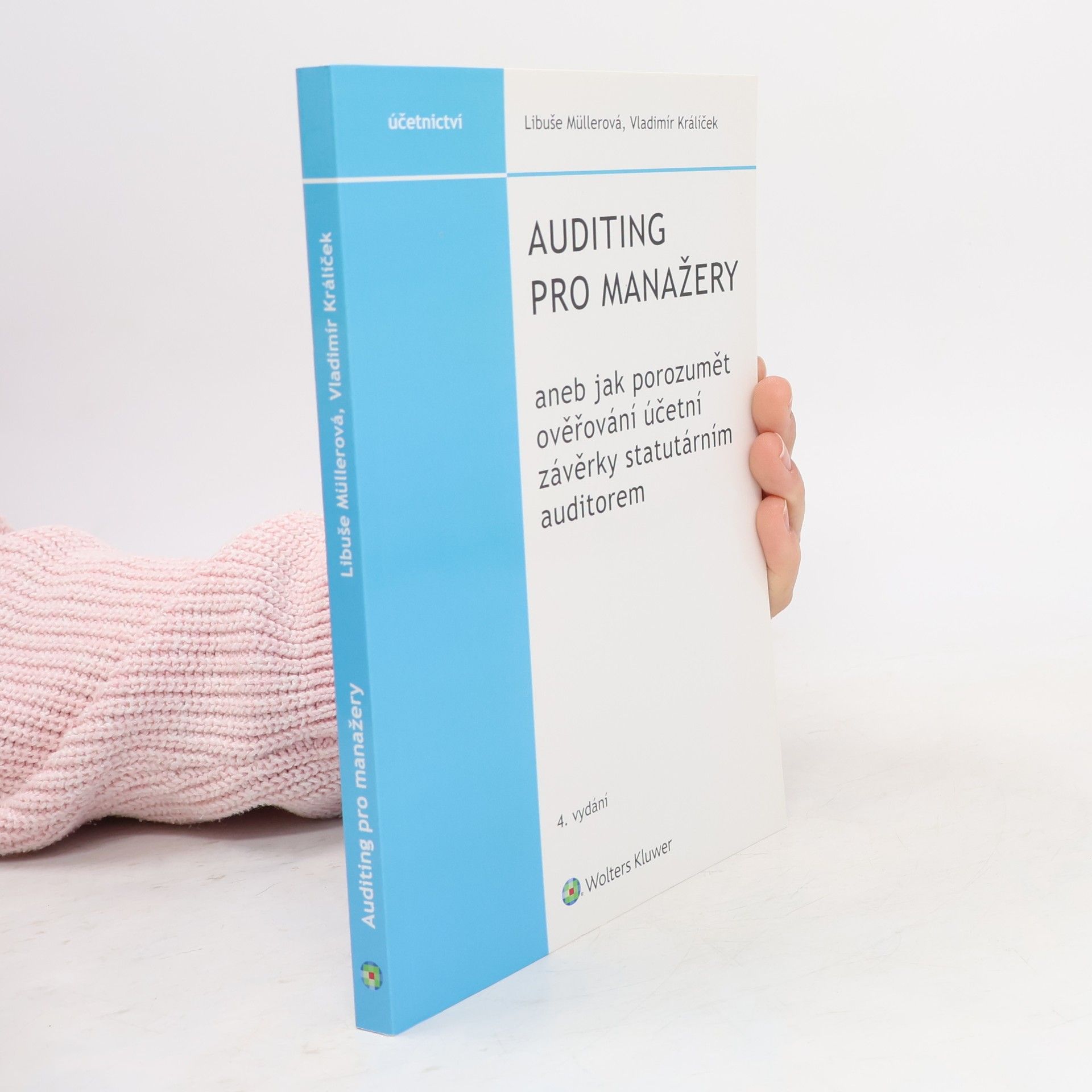 Auditing pro manažery