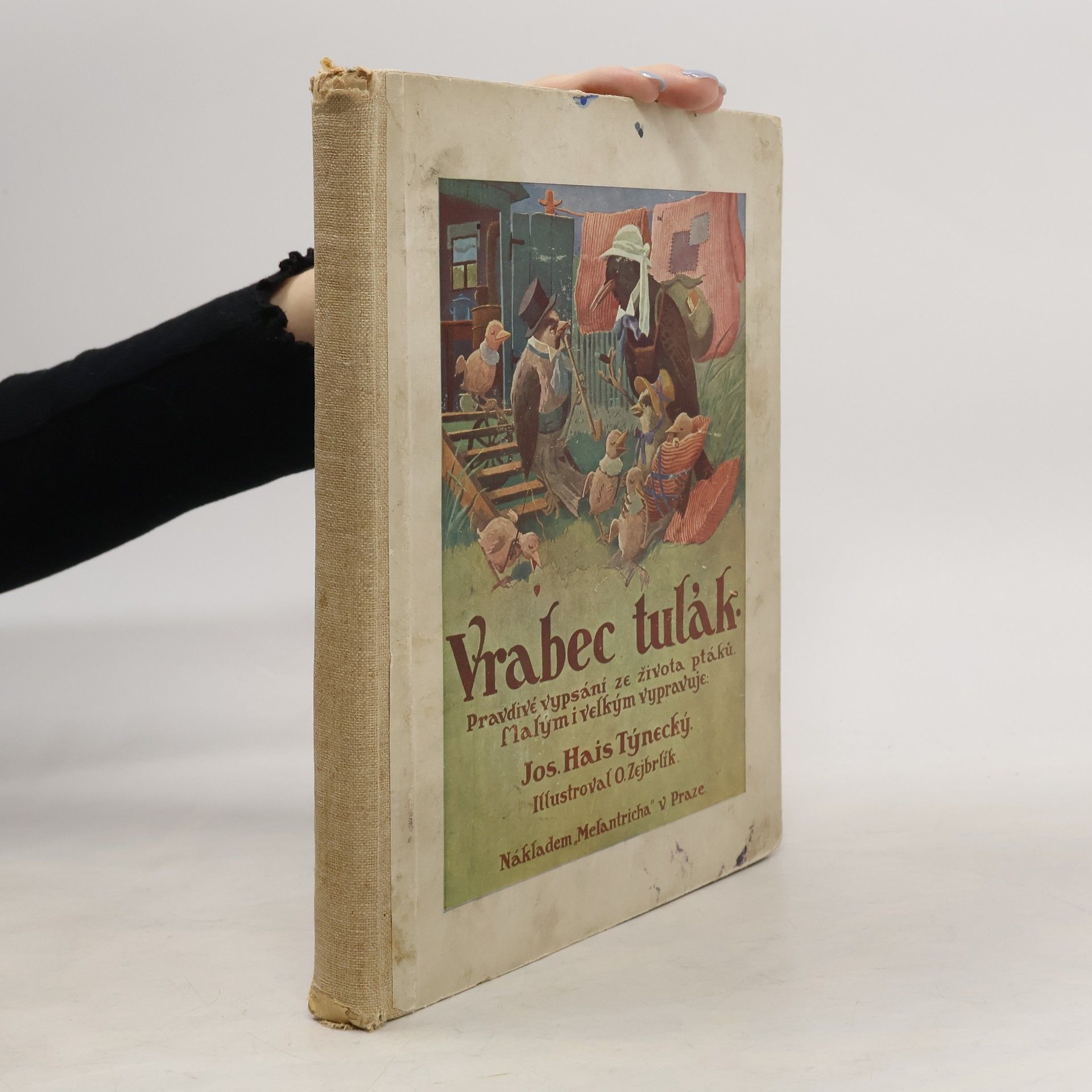 Josef Hais Týnecký Vrabec tulák : pravdivé vypsání ze života ptáků