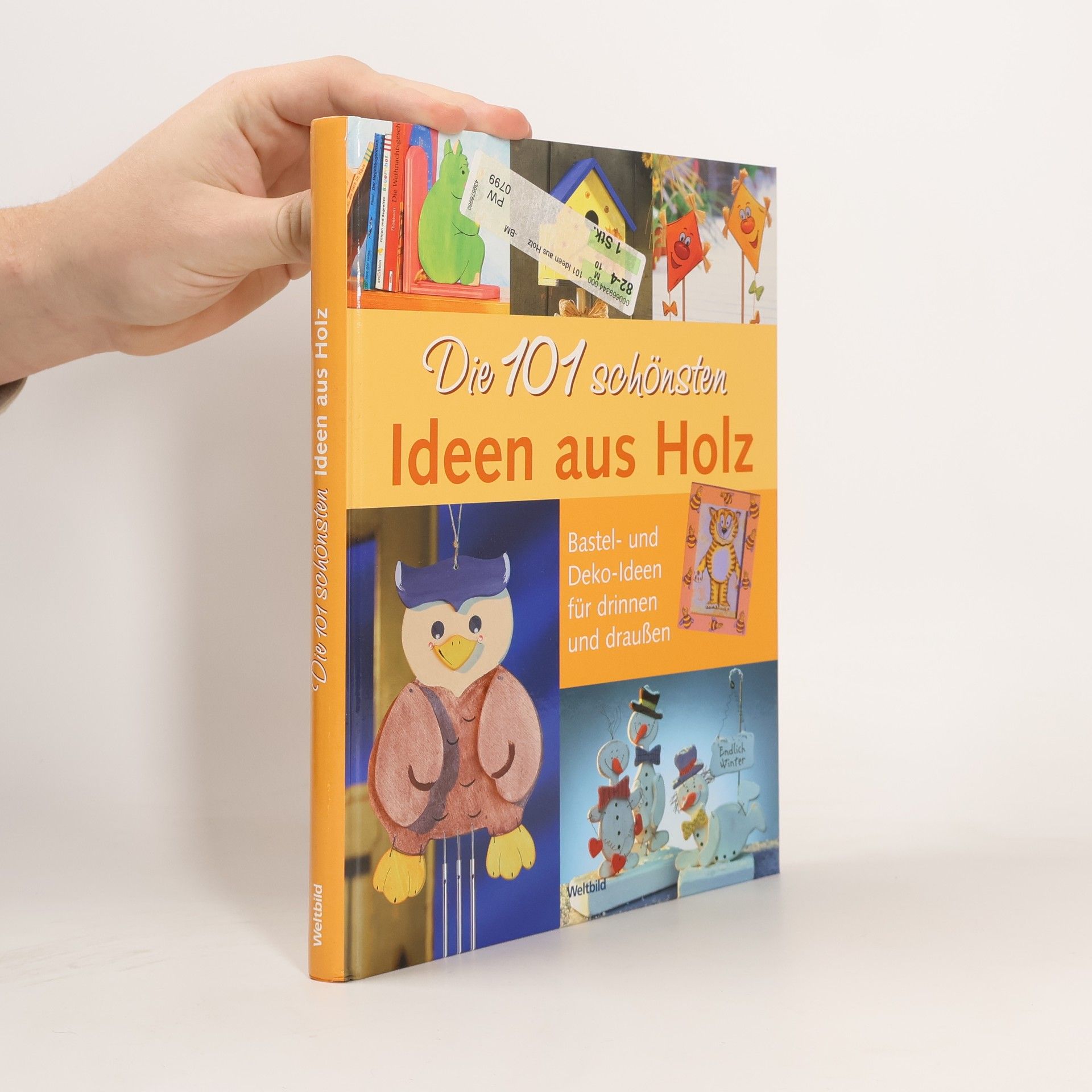 Kolektiv autorů Die 101 schönsten Ideen aus Holz