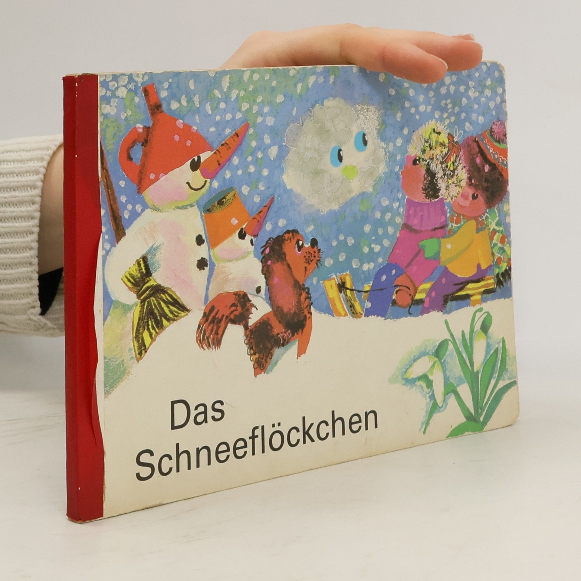 Autorenkollektiv Das Schneeflöckchen