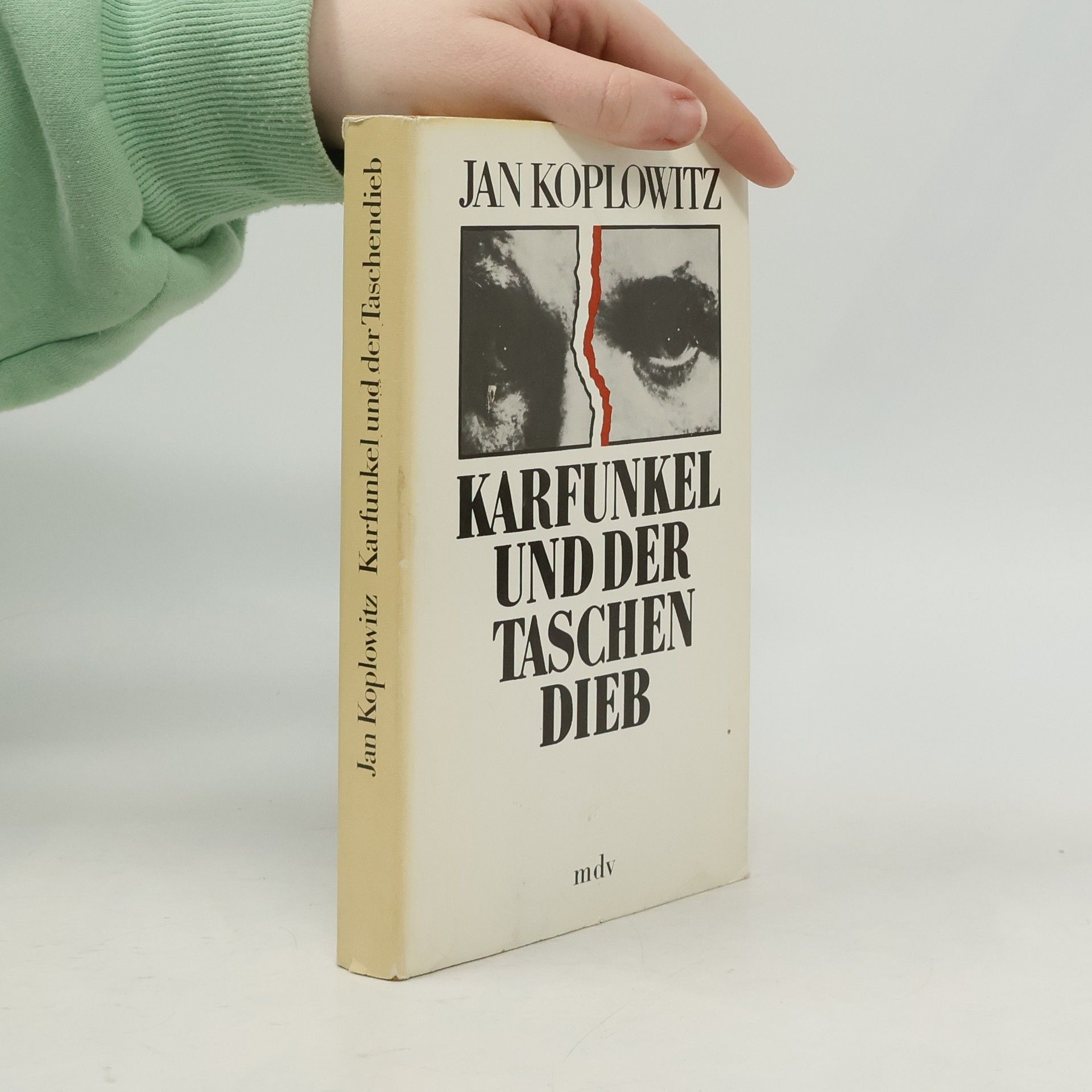 Jan Koplowitz Karfunkel und der Taschendieb