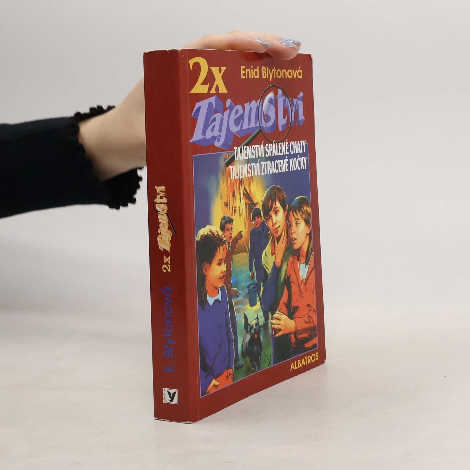 Enid Blyton 2x tajemství – Tajemství spálené chaty / Tajemství ztracené kočky