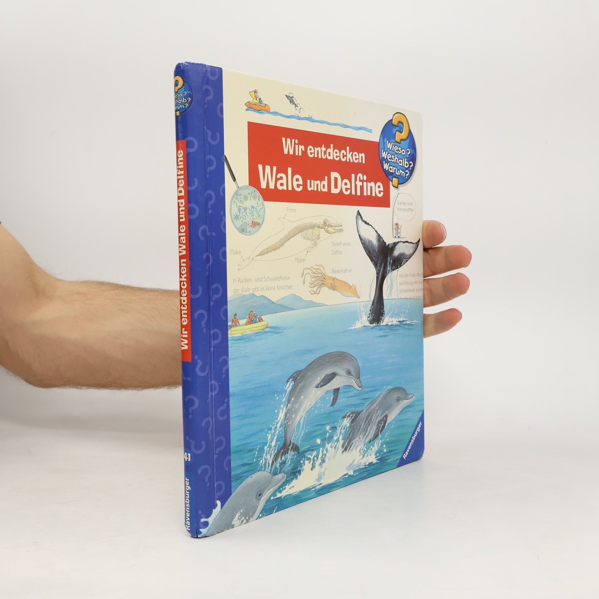 Wir entdecken Wale und Delfine