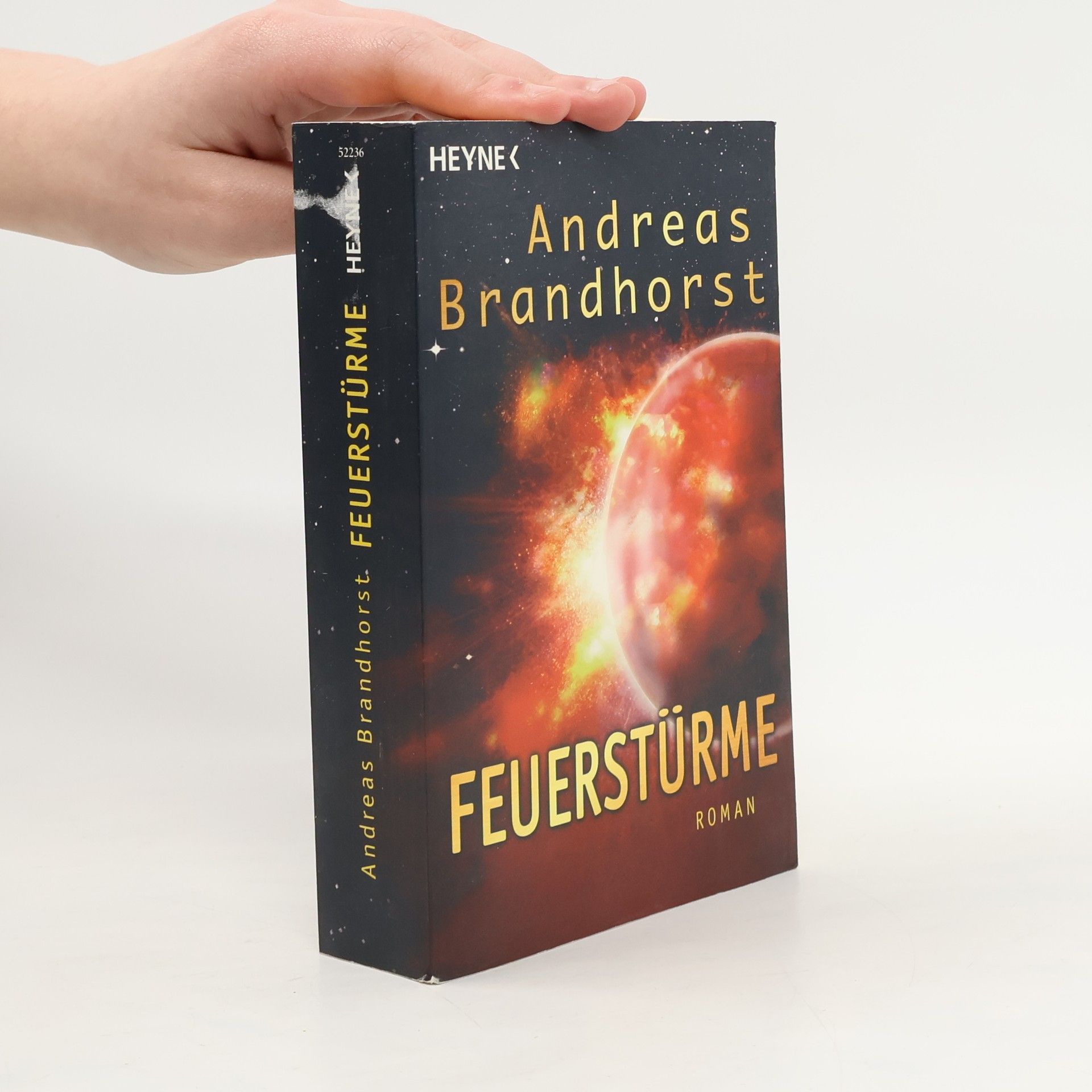 Andreas Brandhorst Feuerstnrme