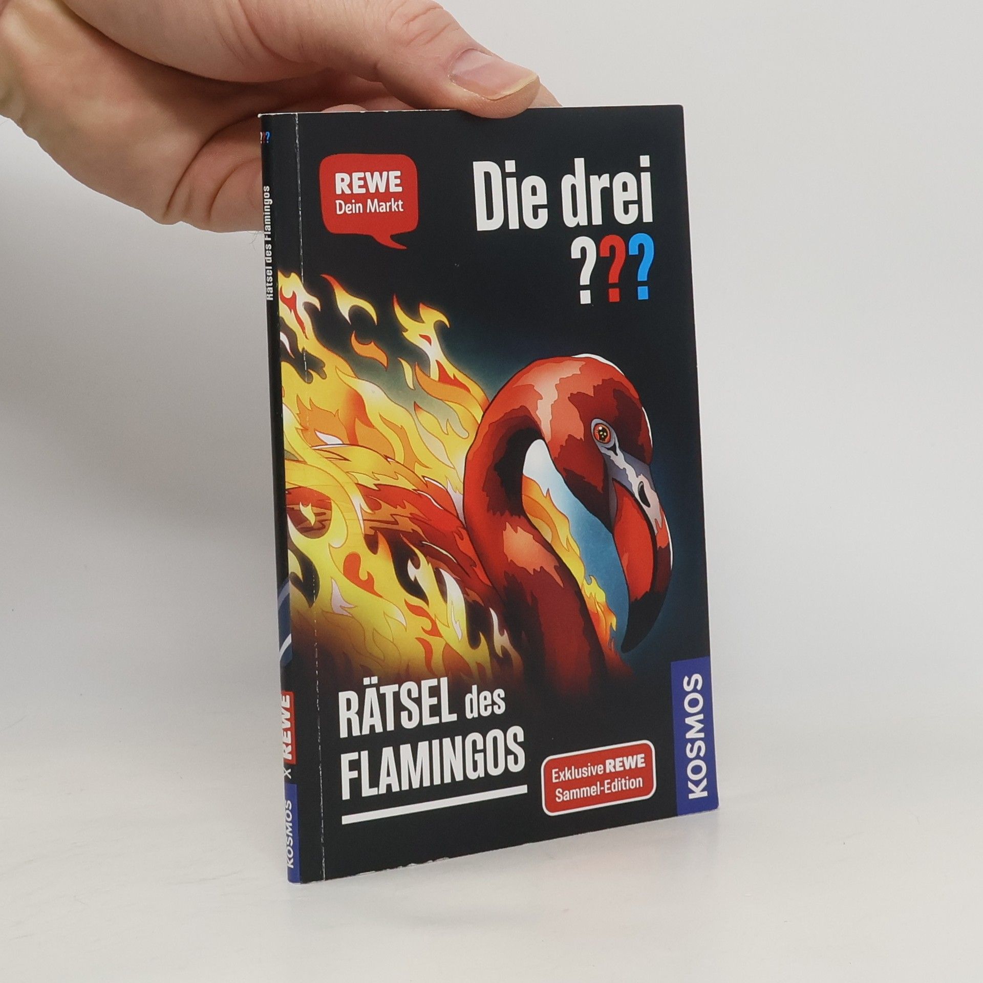 Andreas Ruch Die drei??? Rätsel des Flamingos