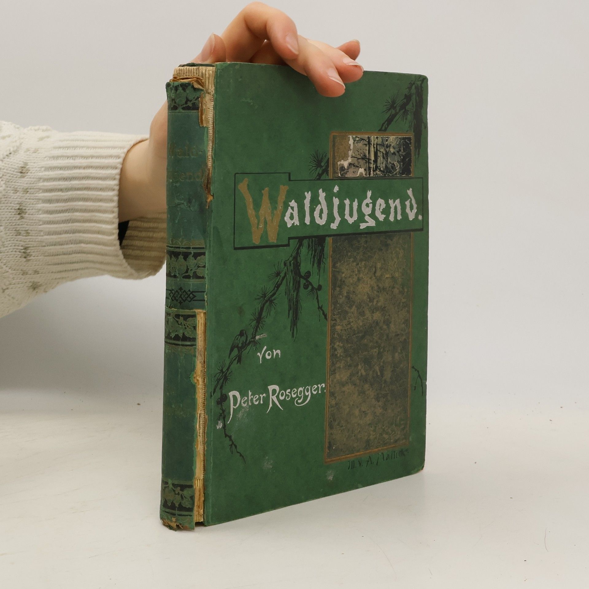 Peter Rosegger Waldjugend