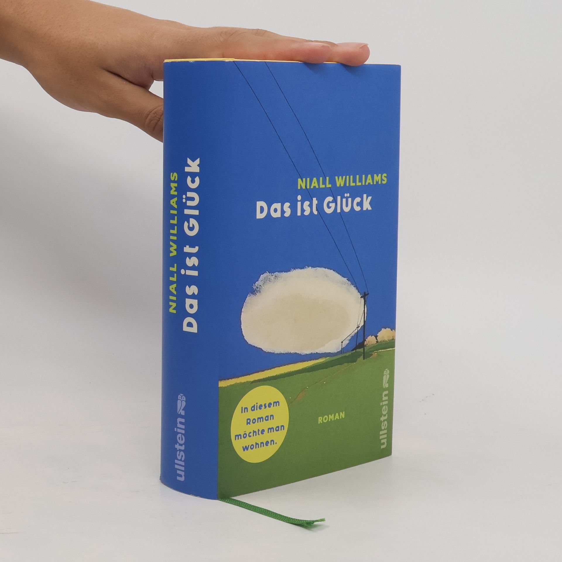 Niall Williams Das ist Glück