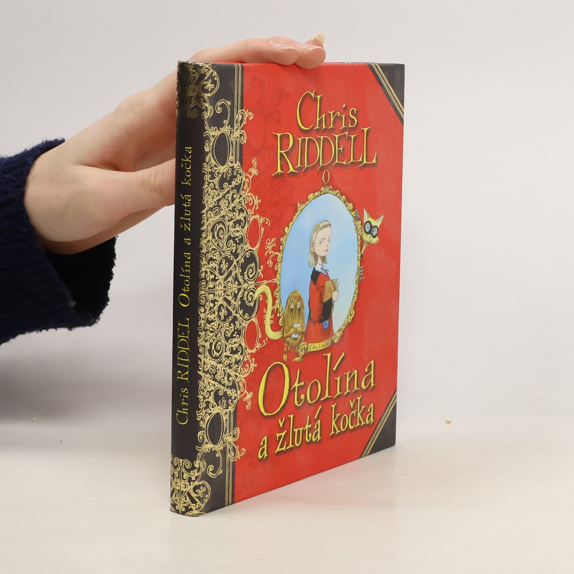 Otolína a žlutá kočka