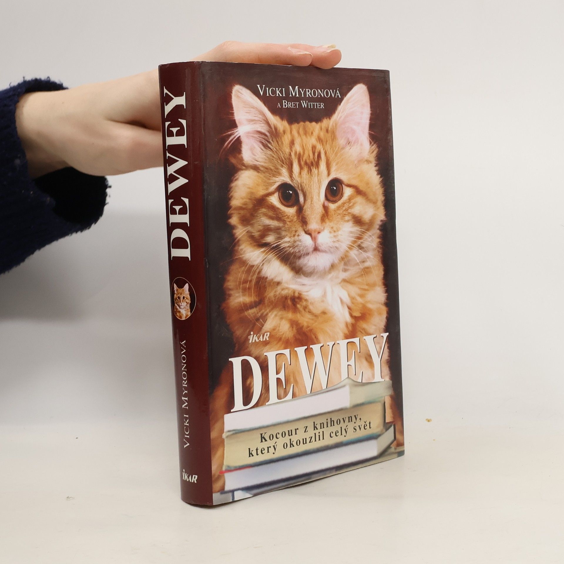 Dewey. Kocour z knihovny, který okouzlil celý svět