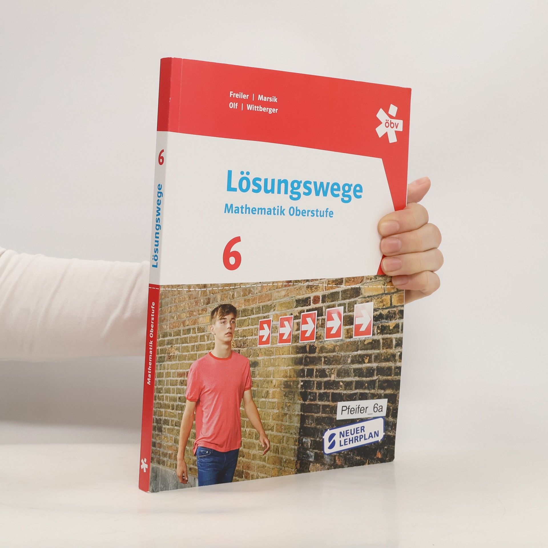 Autorenkollektiv Lösungswege Mathematik Oberstufe 6