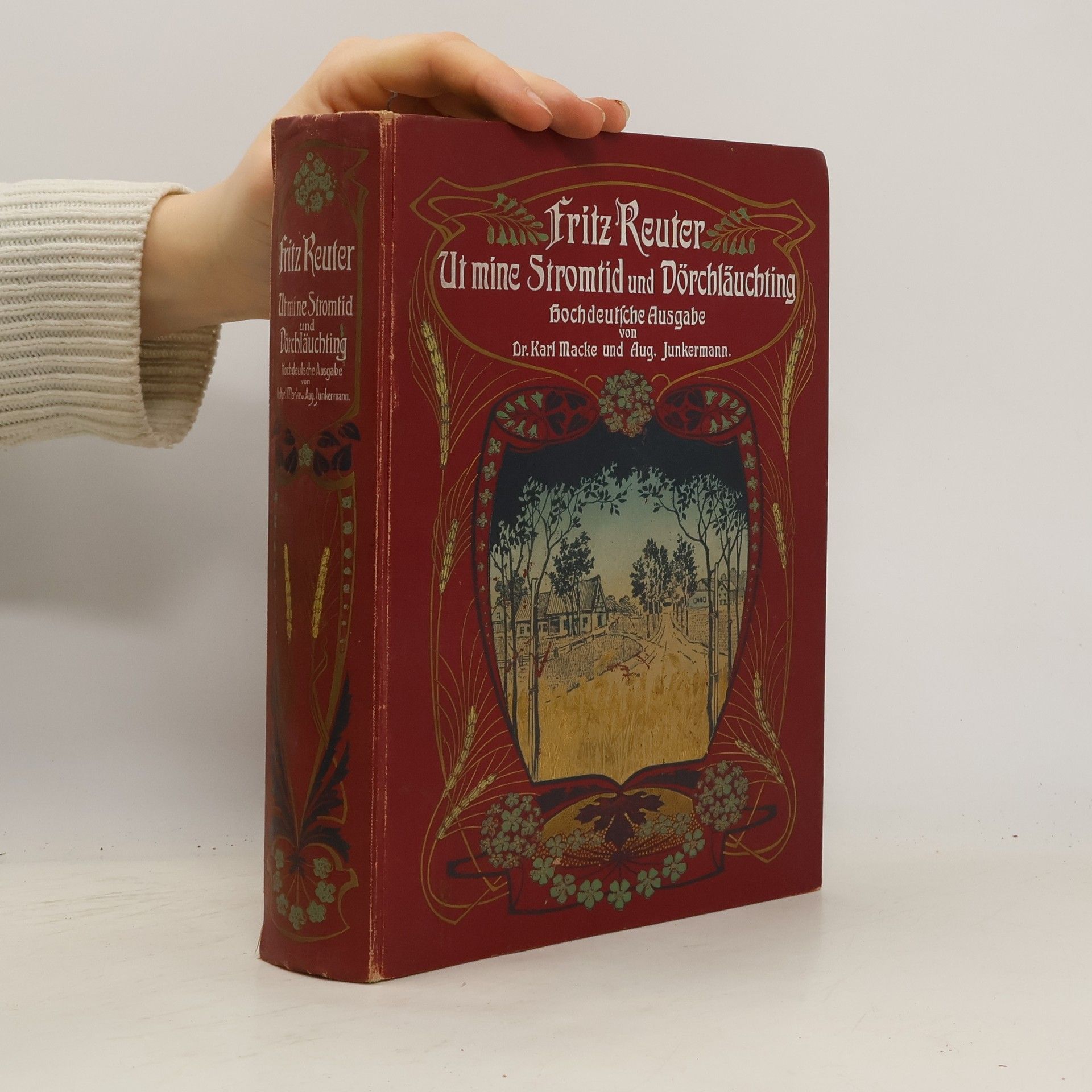 Fritz Reuter At mine Stromtid. Dörchläuchting