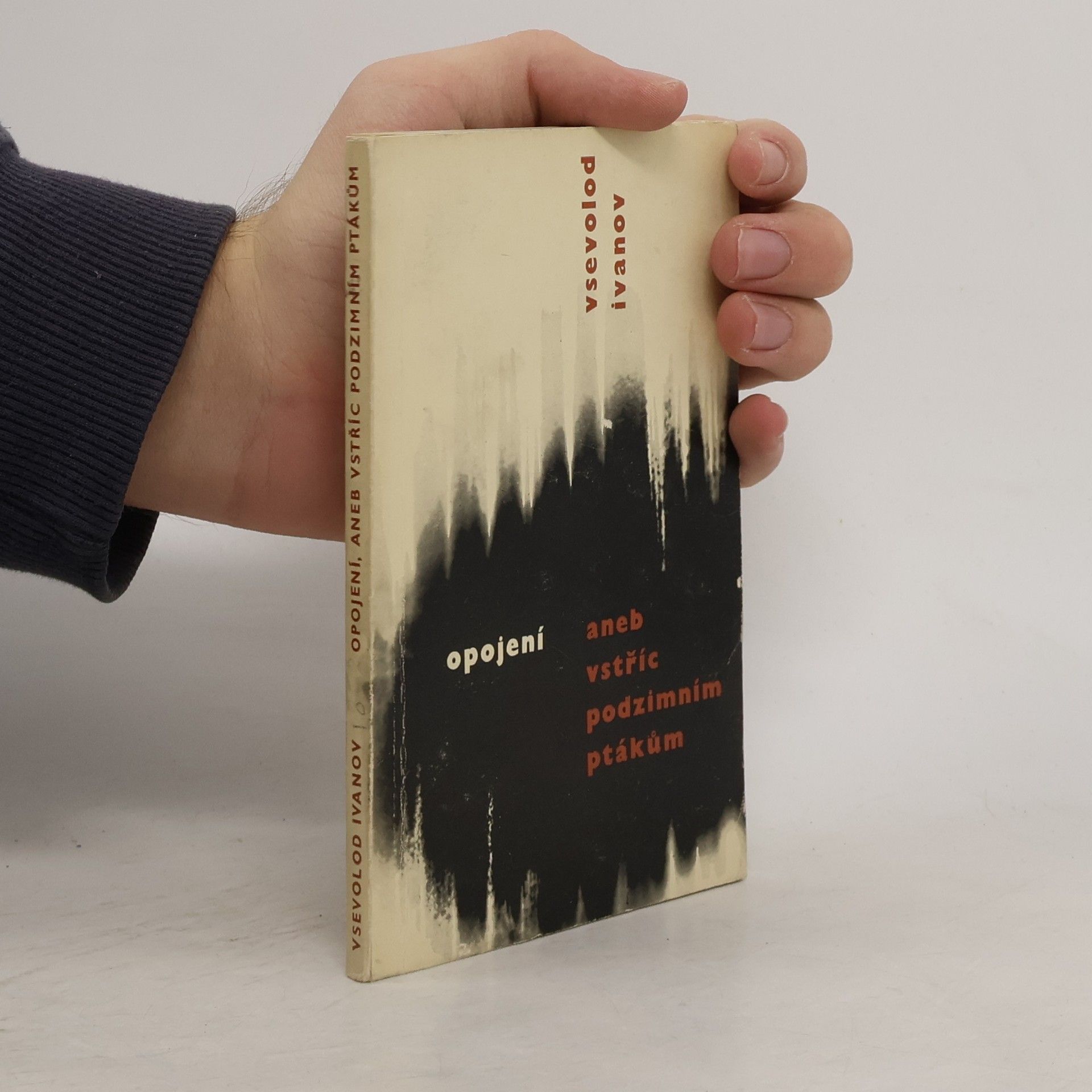 Opojení aneb vstříc podzimním ptákům