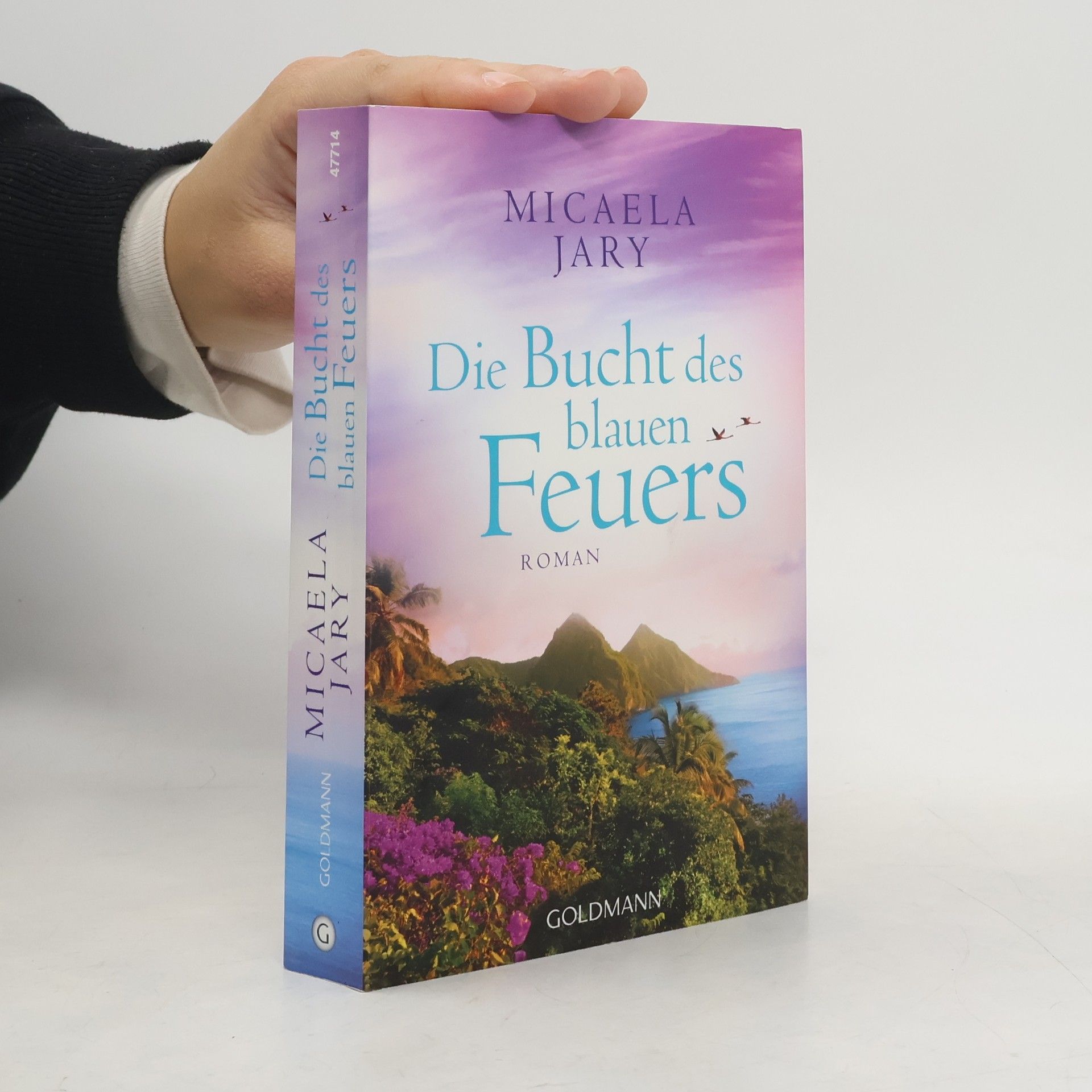 Micaela Jary Die Bucht des blauen Feuers
