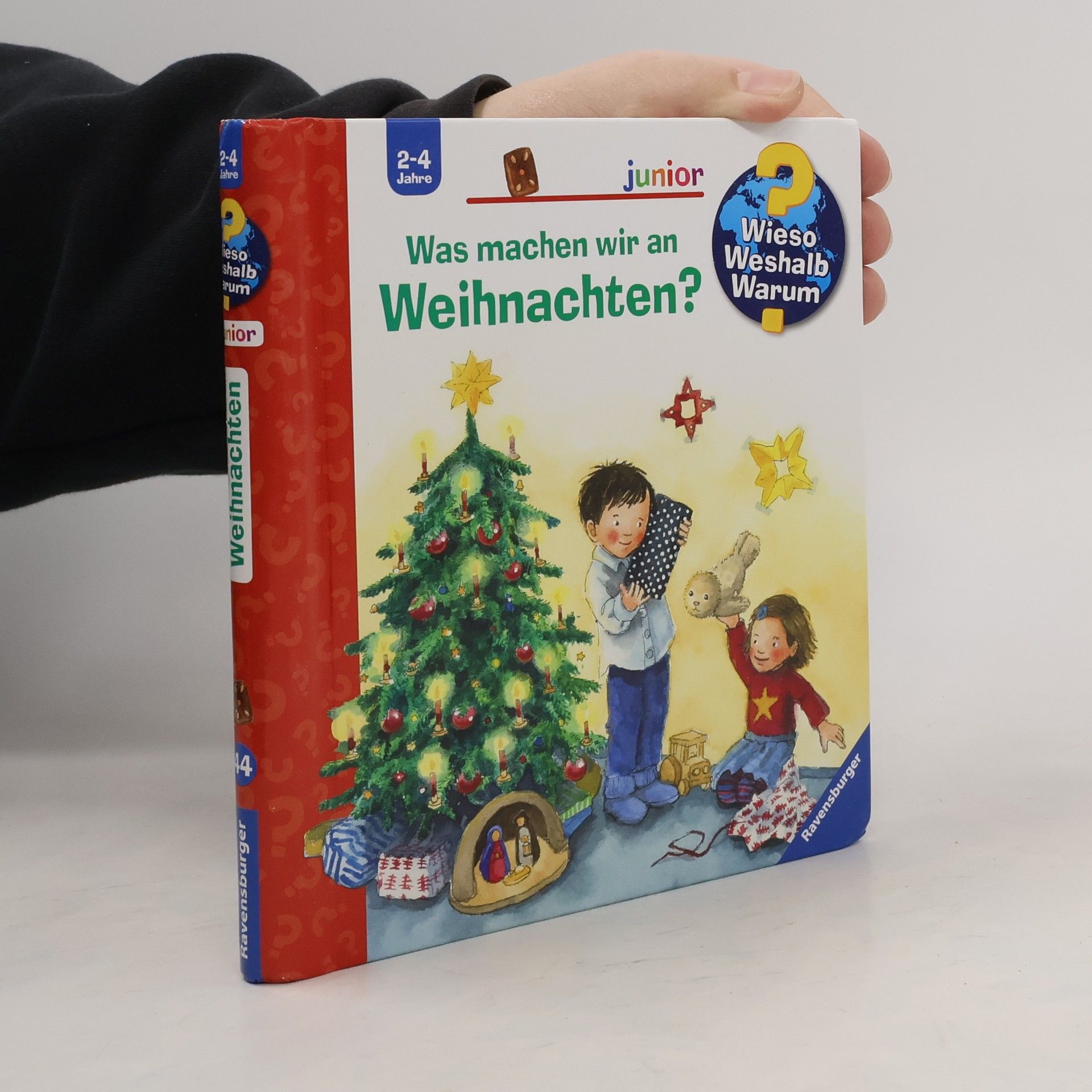 Sanne Dufft Was machen wir an Weihnachten?