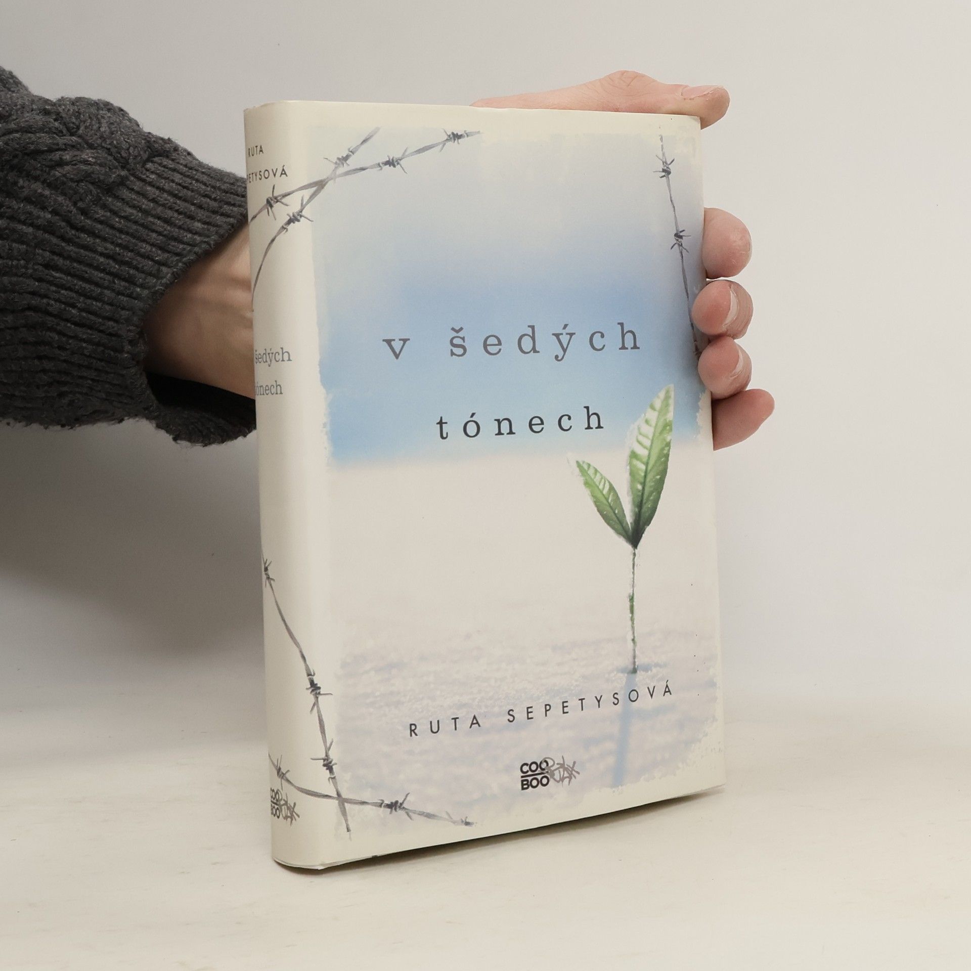 Ruta Sepetysová V šedých tónech