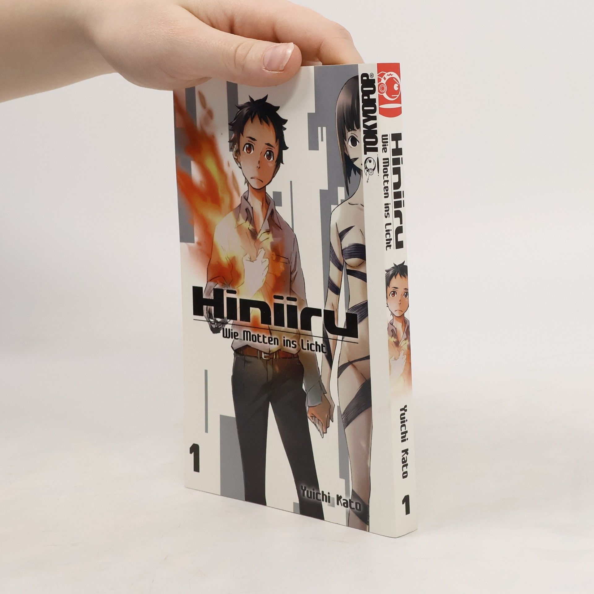 Collectif d'auteurs Hiniiru - wie Motten ins Licht