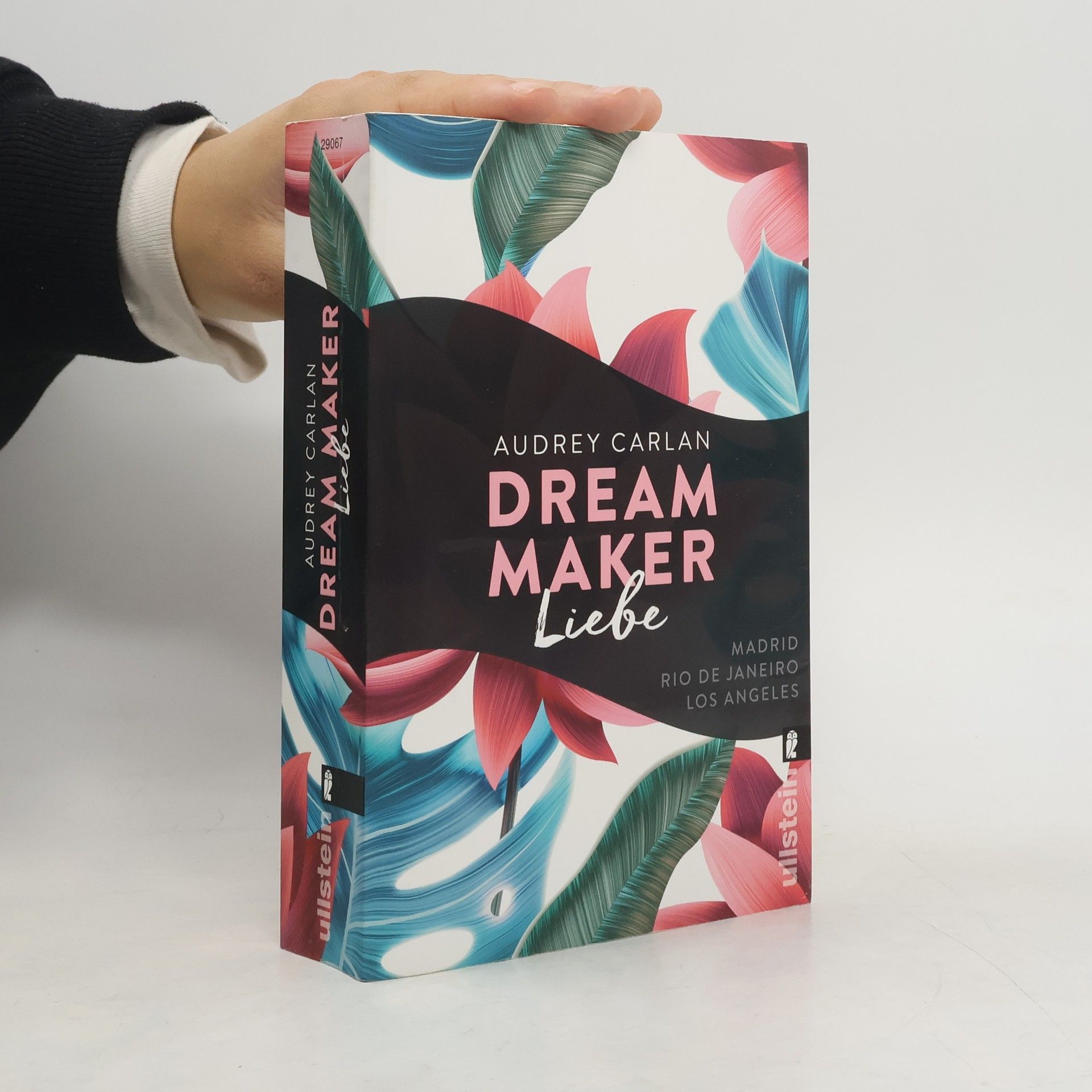 Audrey Carlan Dream Maker - Liebe
