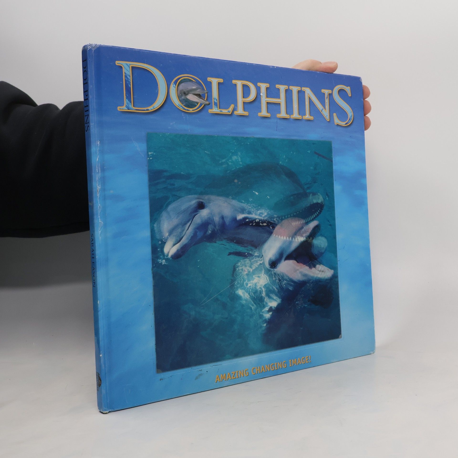 Sarah Faron Dolphins