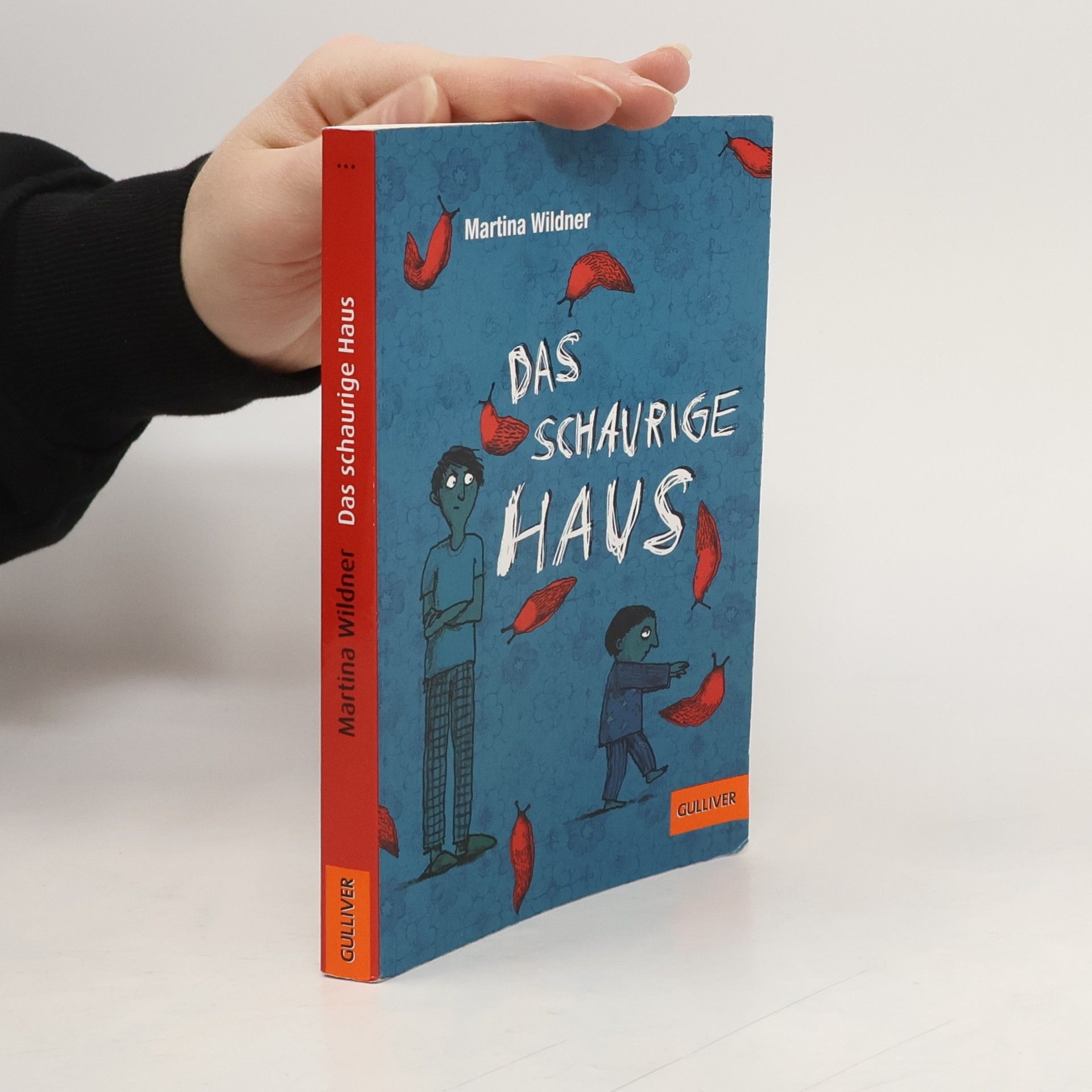 Martina Wildner Das schaurige Haus