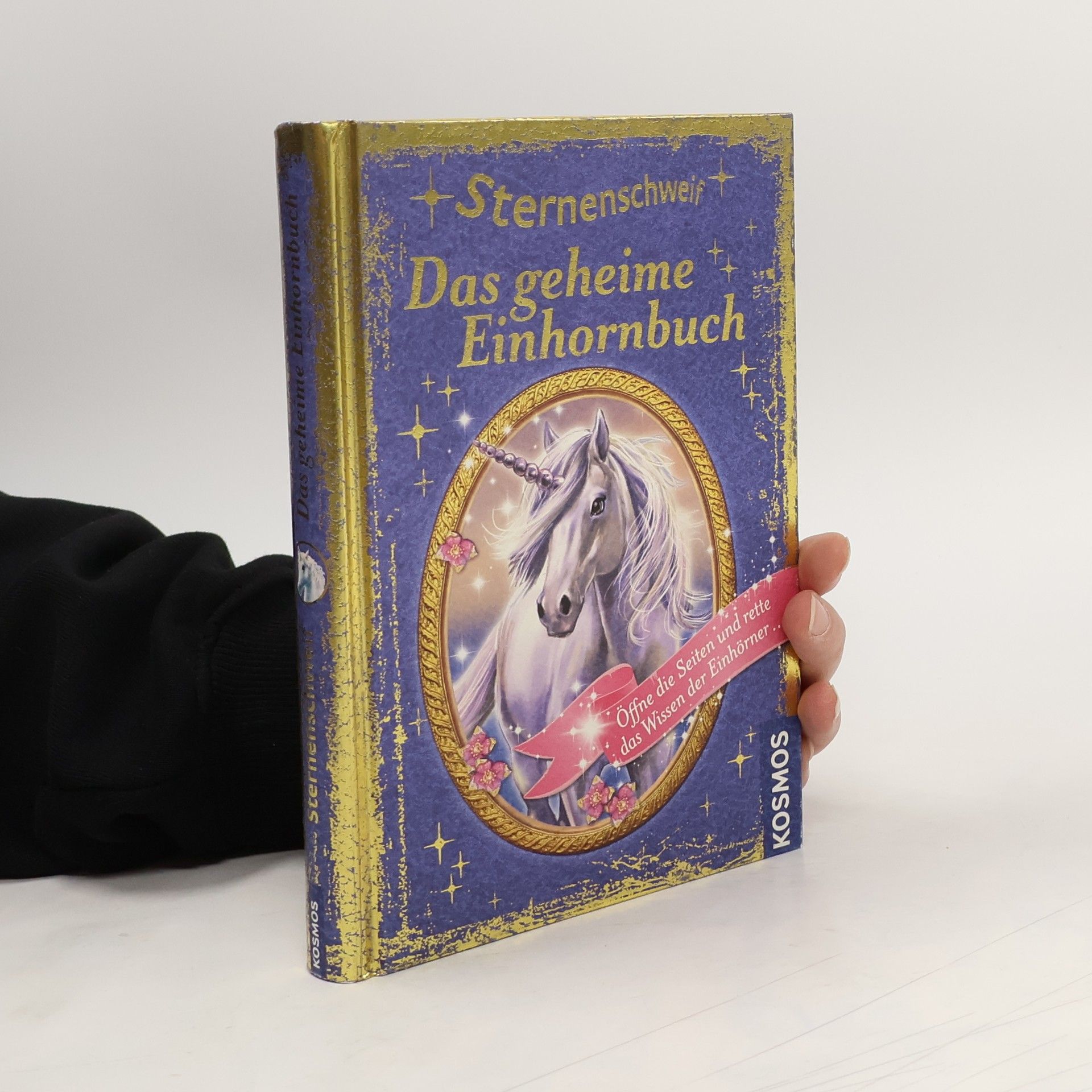 Anne Scheller Sternenschweif - das geheime Einhornbuch